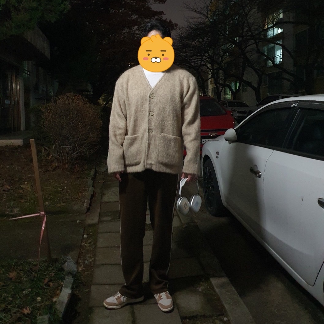 Apple AirPods Max Lightning Silver (Korean Ver.), Nike Dunk Low Pro Premium Medium Curry 착용 스타일