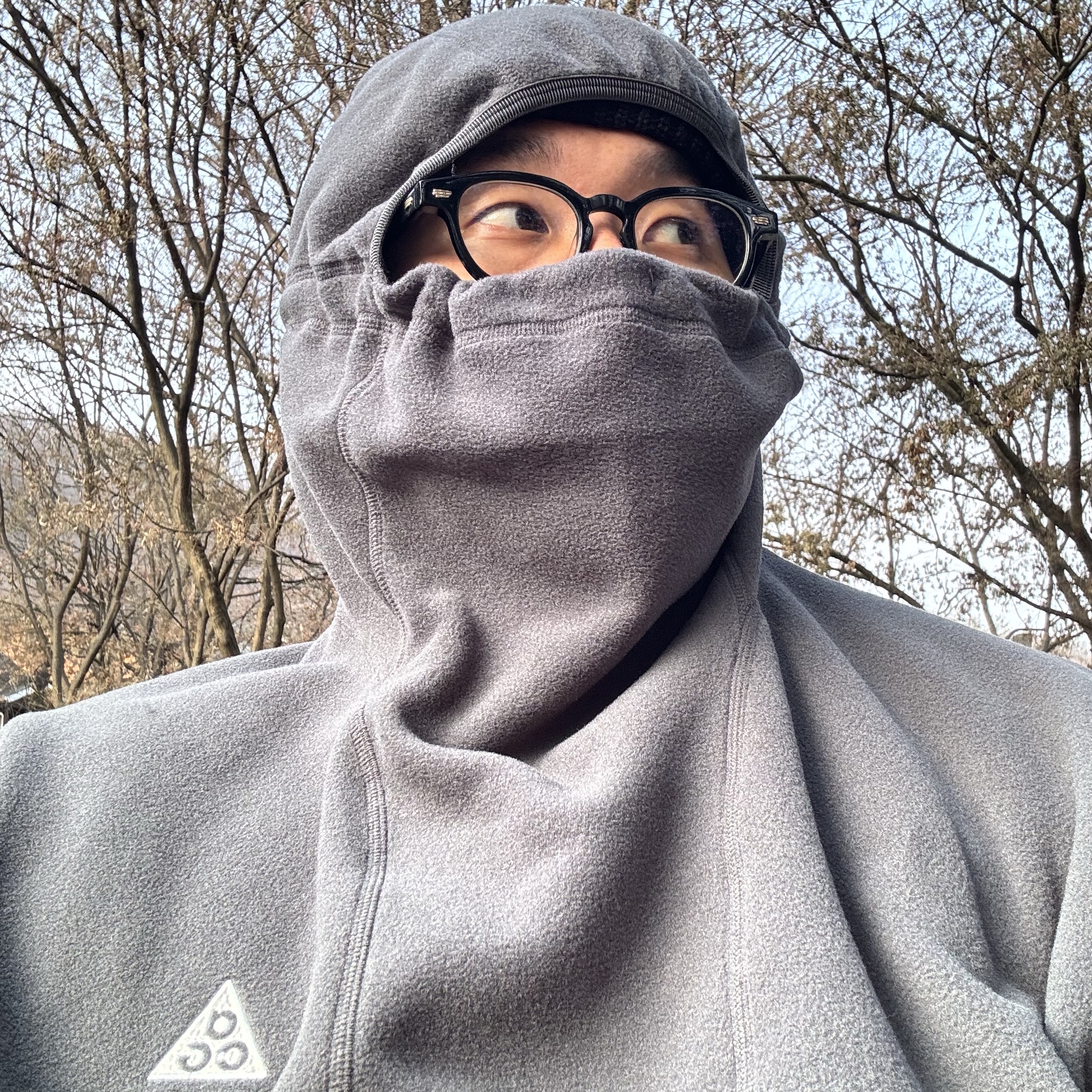 Nike ACG Polartec Wolf Tree Pullover Hoodie Anthracite - Asia 착용 스타일