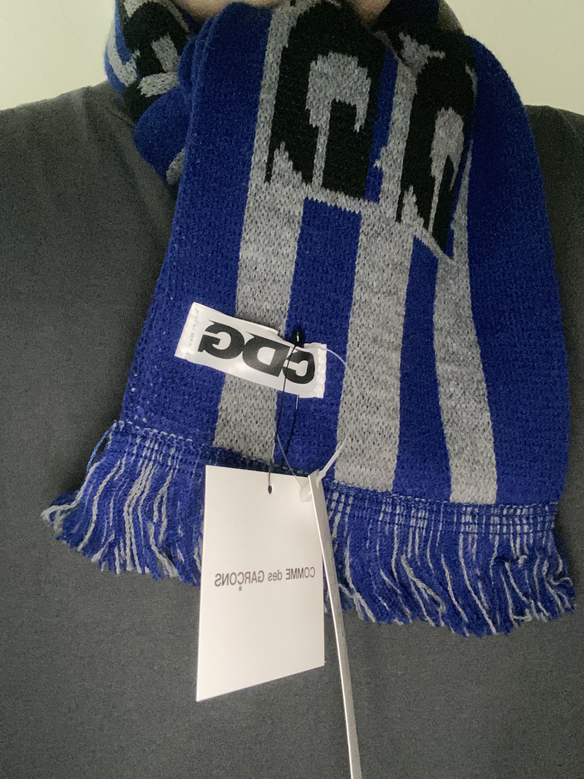 CDG Logo Check Muffler Blue 착용 스타일 - 2