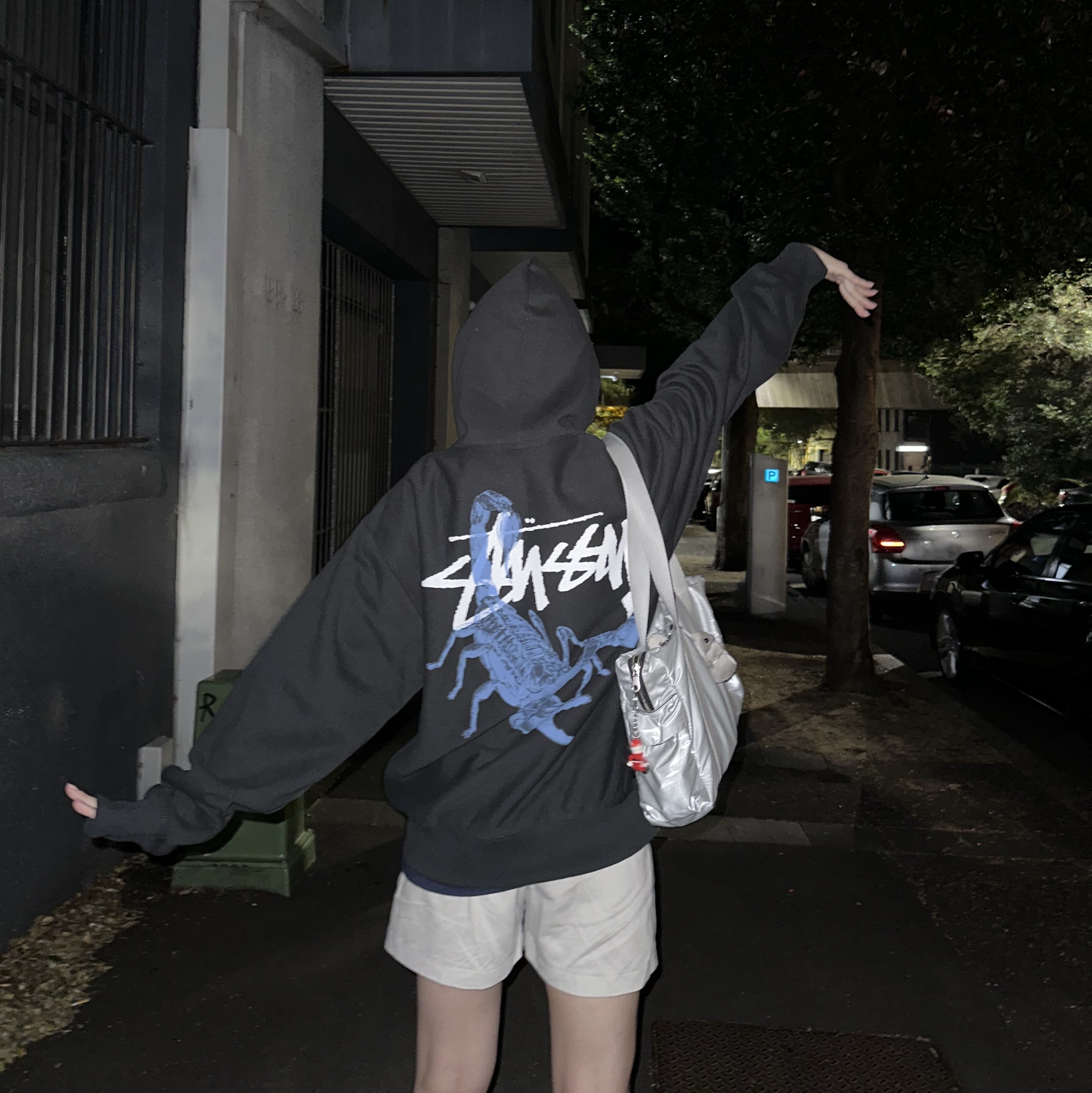 Stussy Scorpion Zip Hoodie Black 착용 스타일 - 1
