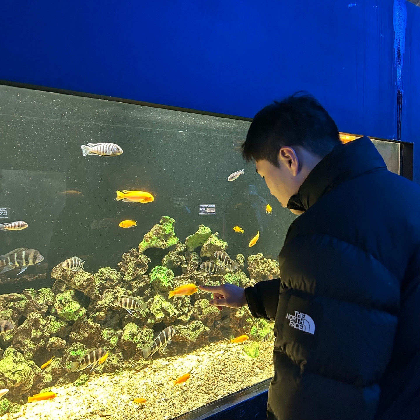 푸님의 스타일