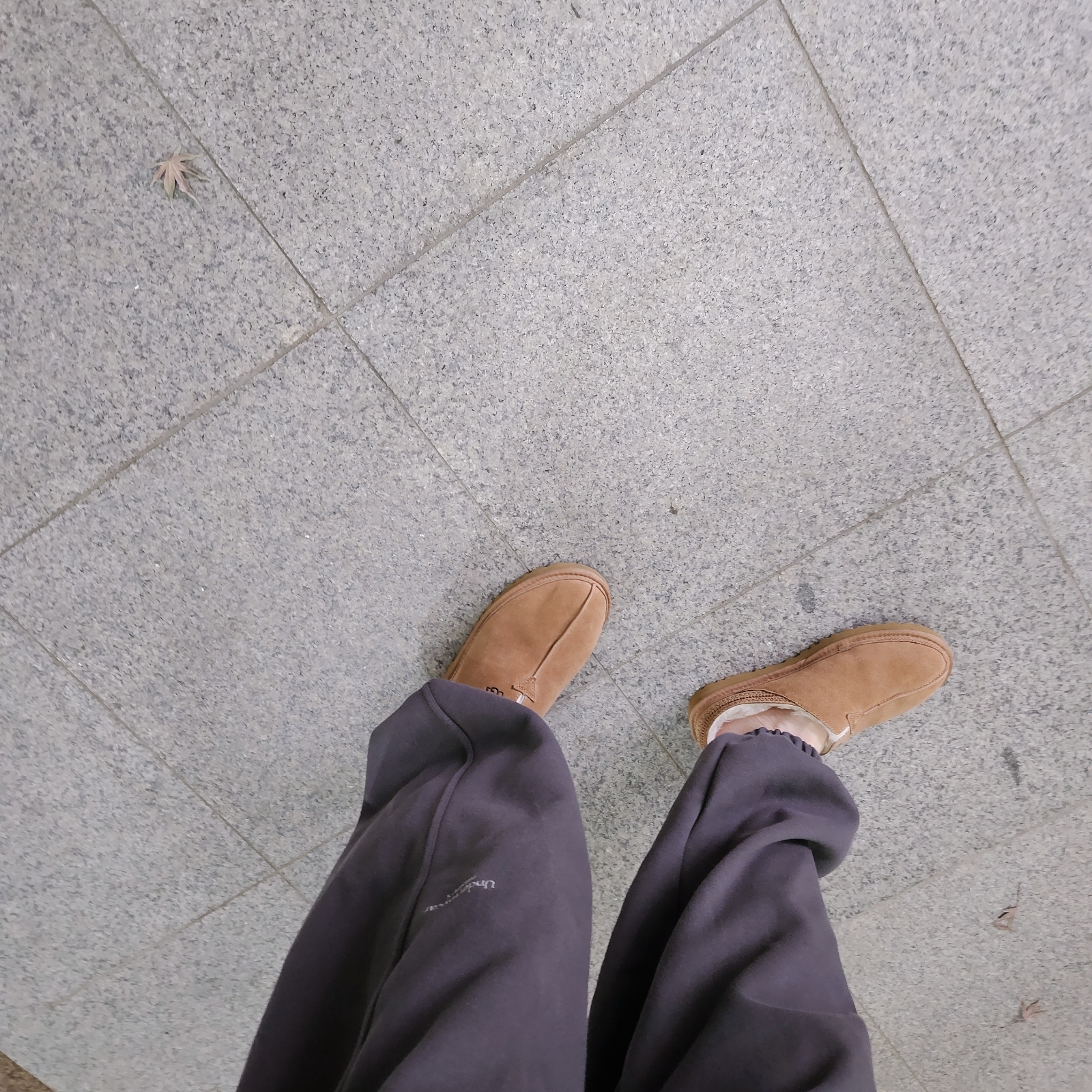 UGG Neuman Chestnut, Undermycar Mu.03 Anti Fxxking Logo Play Oversized Sweat Jogger Olive 착용 스타일