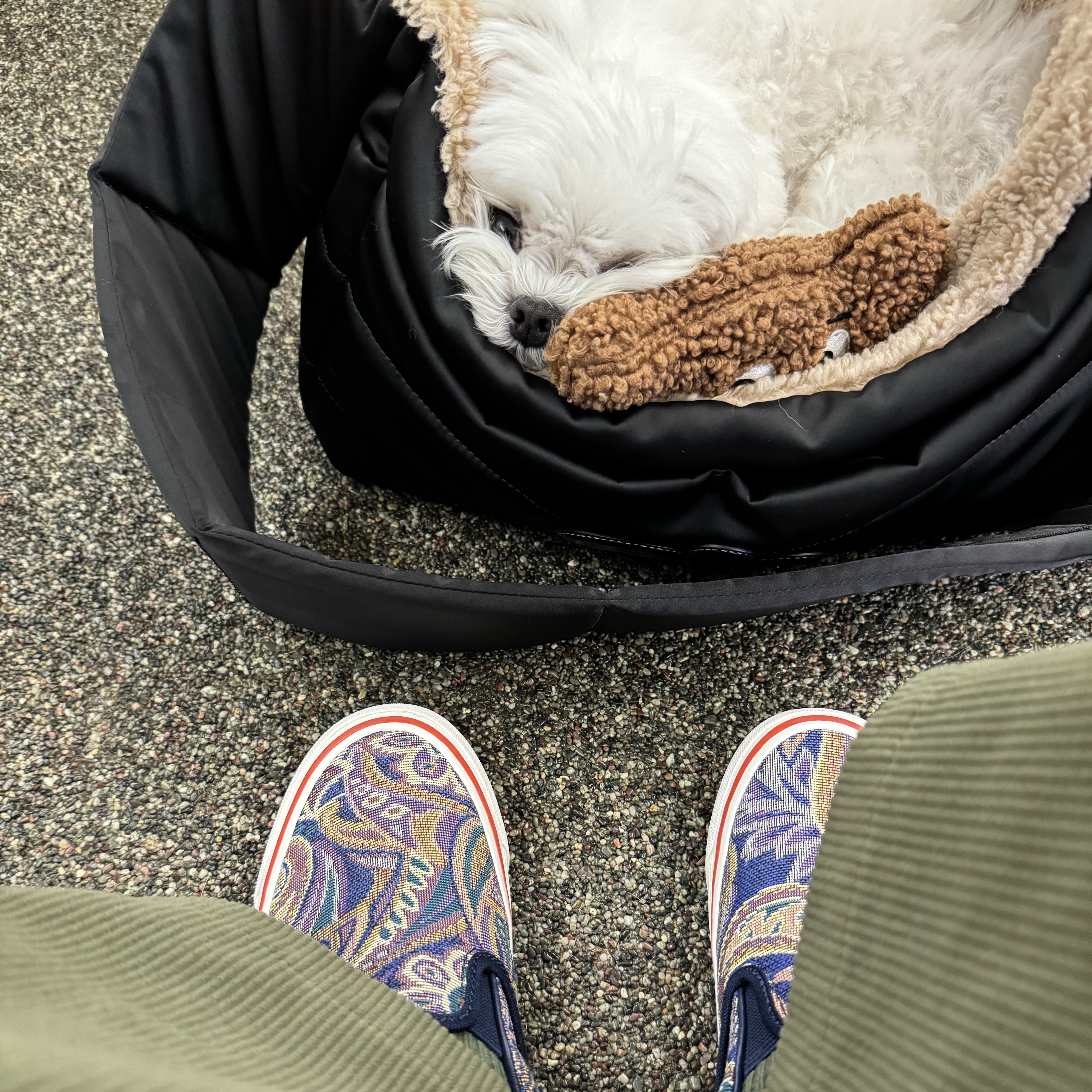 Vans Vault x Nigel Carboun Classic Slip-On LX Paisley Vintage Blue 착용 스타일