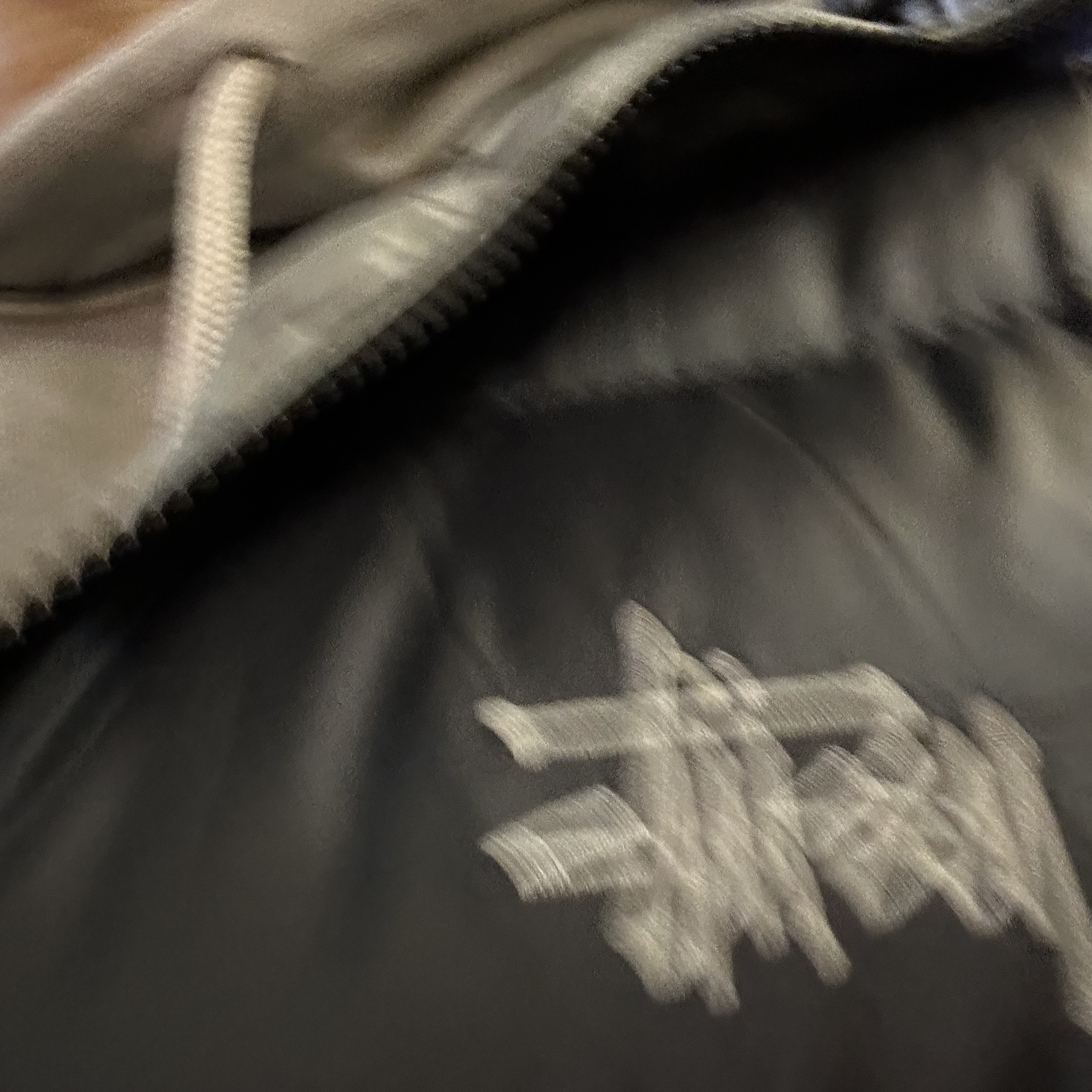 Stussy Down Parka Micro Ripstop Phantom Black 착용 스타일 - 2