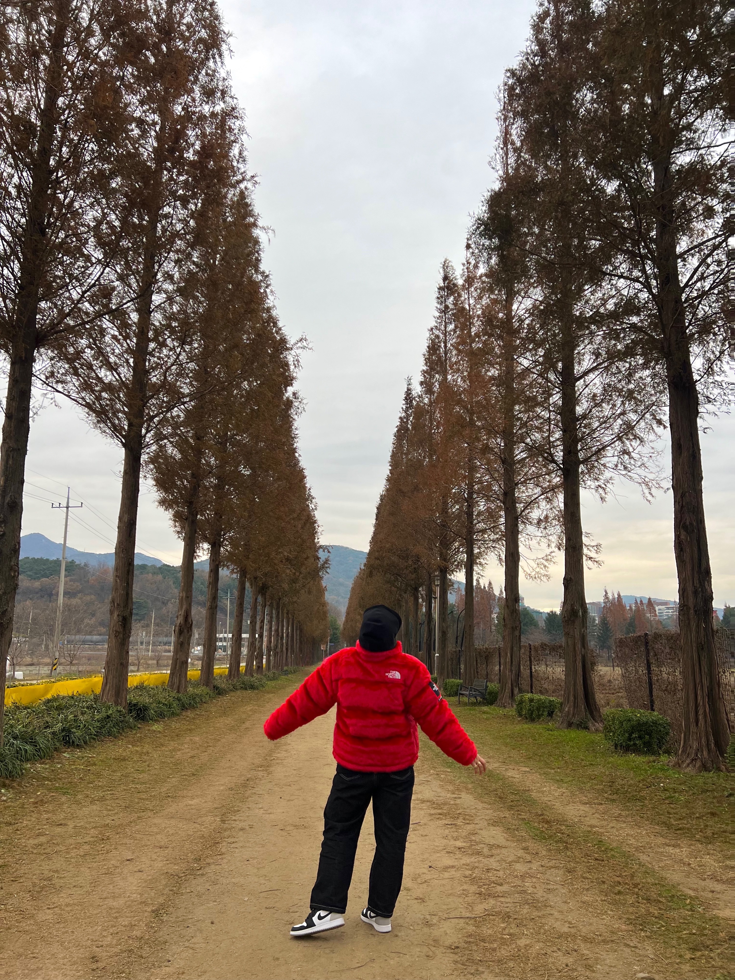 Supreme x The North Face Faux Fur Nuptse Jacket Red - 20FW, Jordan 1 Retro High OG Bleached Coral 착용 스타일 - 2