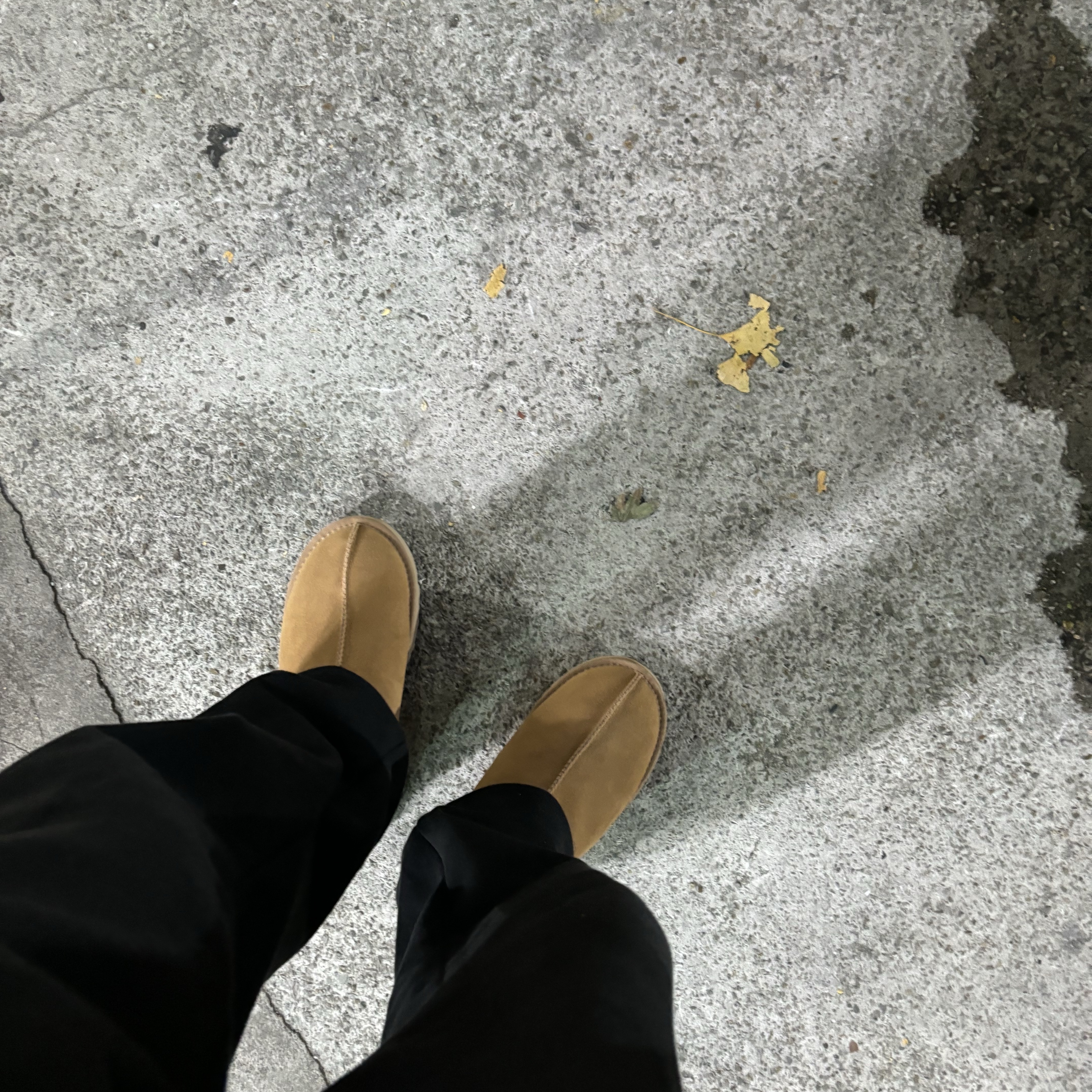 UGG Tasman Slipper Chestnut 착용 스타일