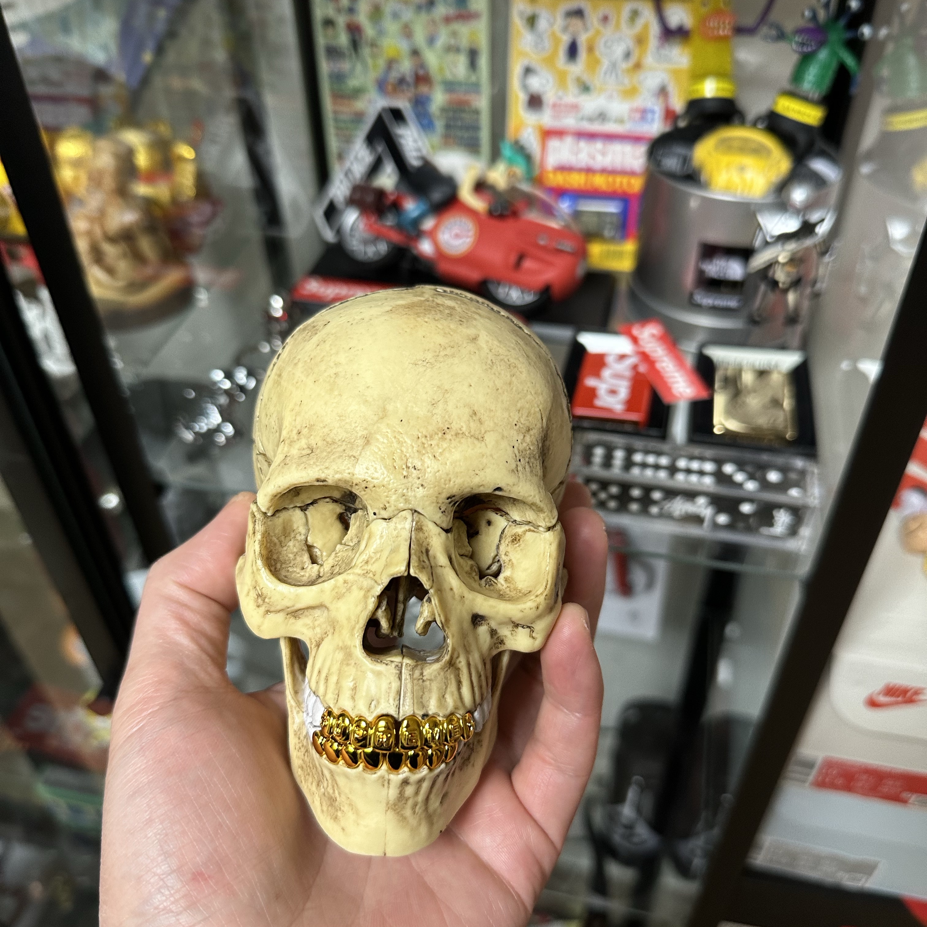 Supreme 4D Model Human Skull Natural - 23FW 착용 스타일