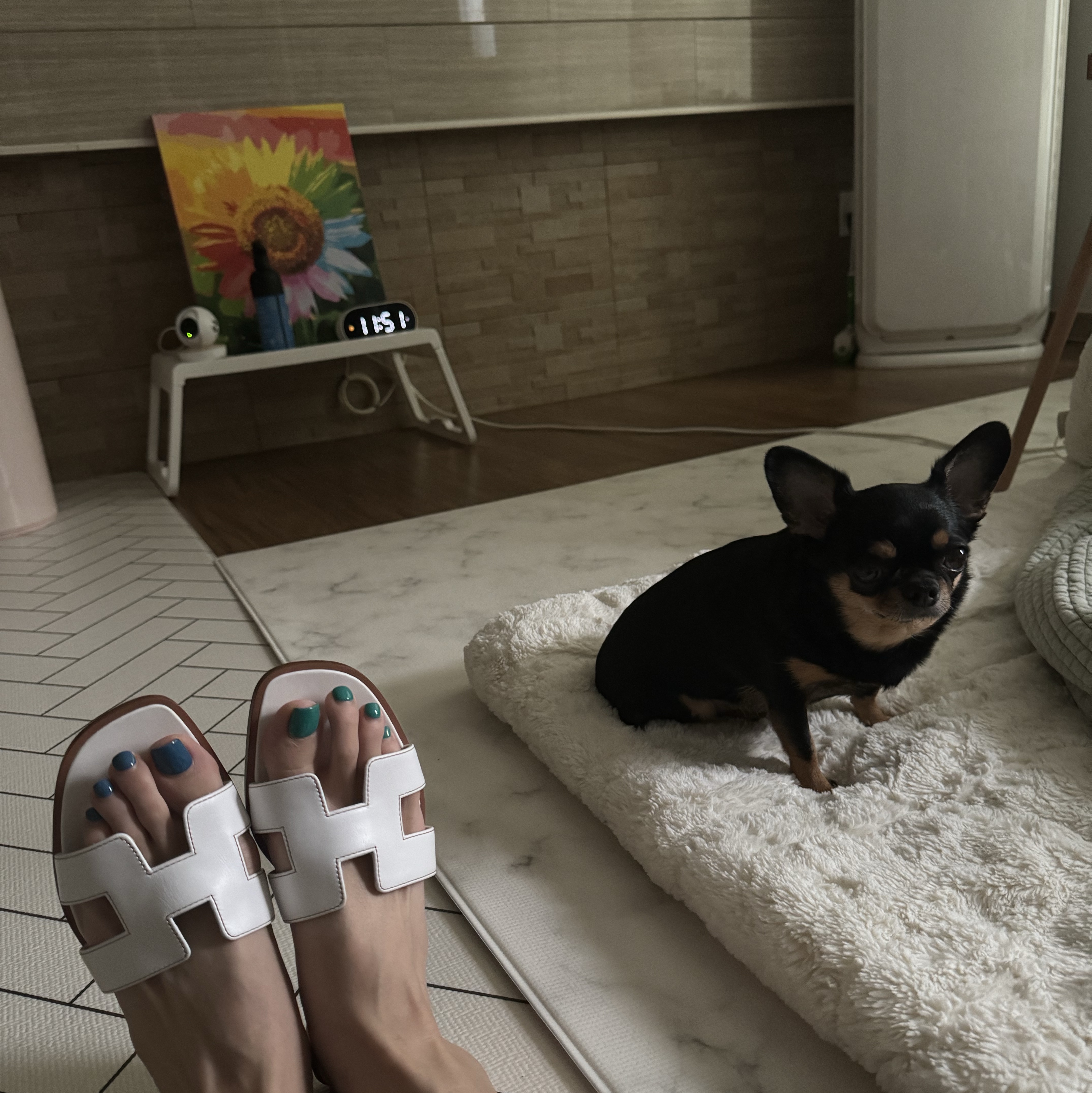 (W) Hermes Oran Sandal Calfskin & Blanc Piqures Havane 착용 스타일