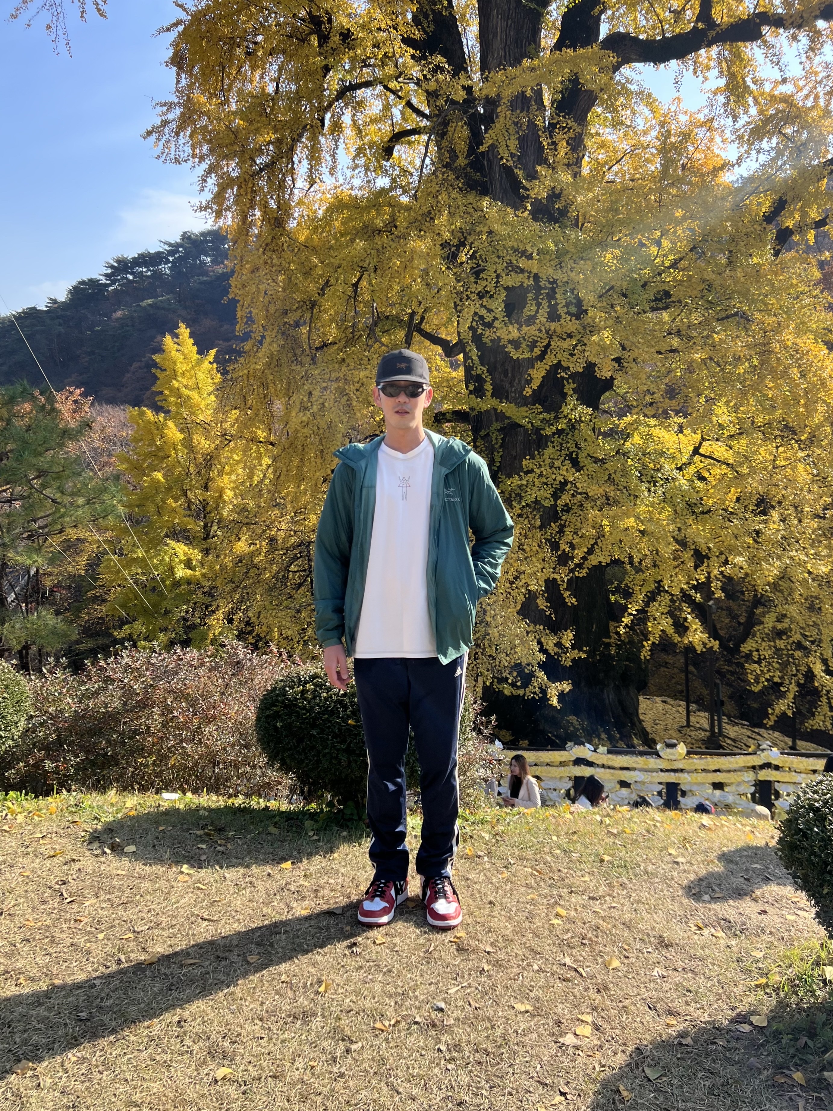 Arc'teryx Atom LT Hoody Black, Jordan 1 Retro High OG Chicago 2015 착용 스타일 - 1