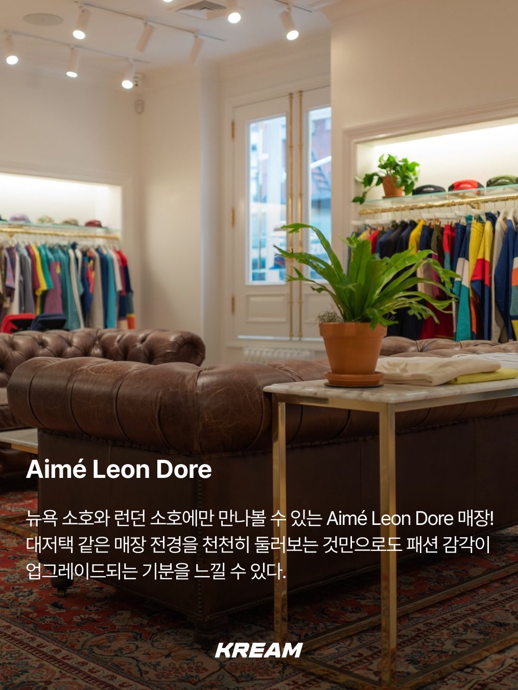 KREAM님의 스타일 - 2