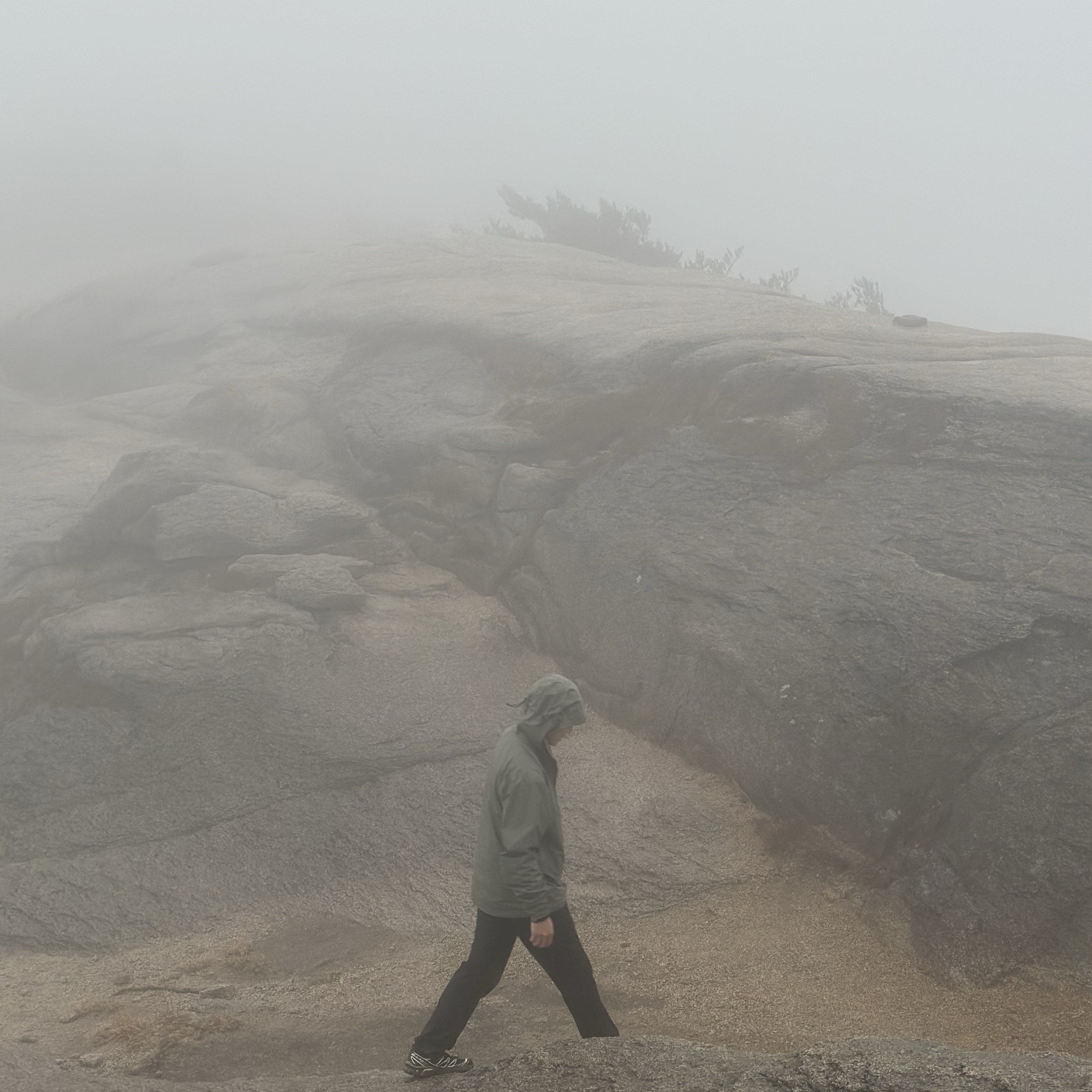 Arc'teryx Beta Jacket Forage 착용 스타일 - 4