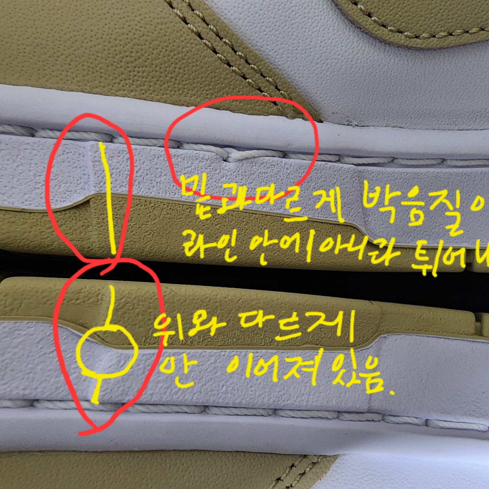 Nike Dunk Low Team Gold and White 착용 스타일 - 9