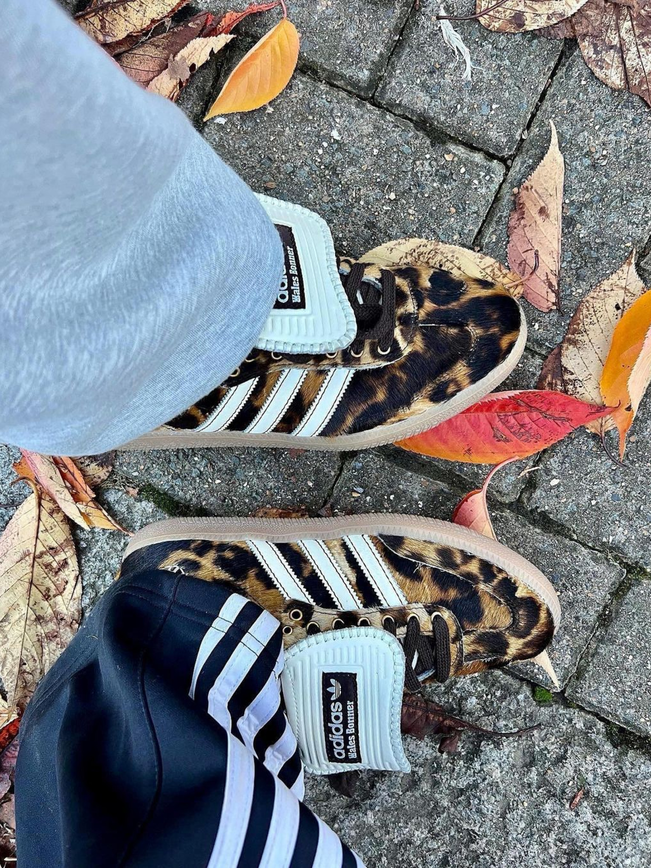Adidas x Wales Bonner Pony Leo Samba Dark Brown Cream White 착용 스타일 - 2