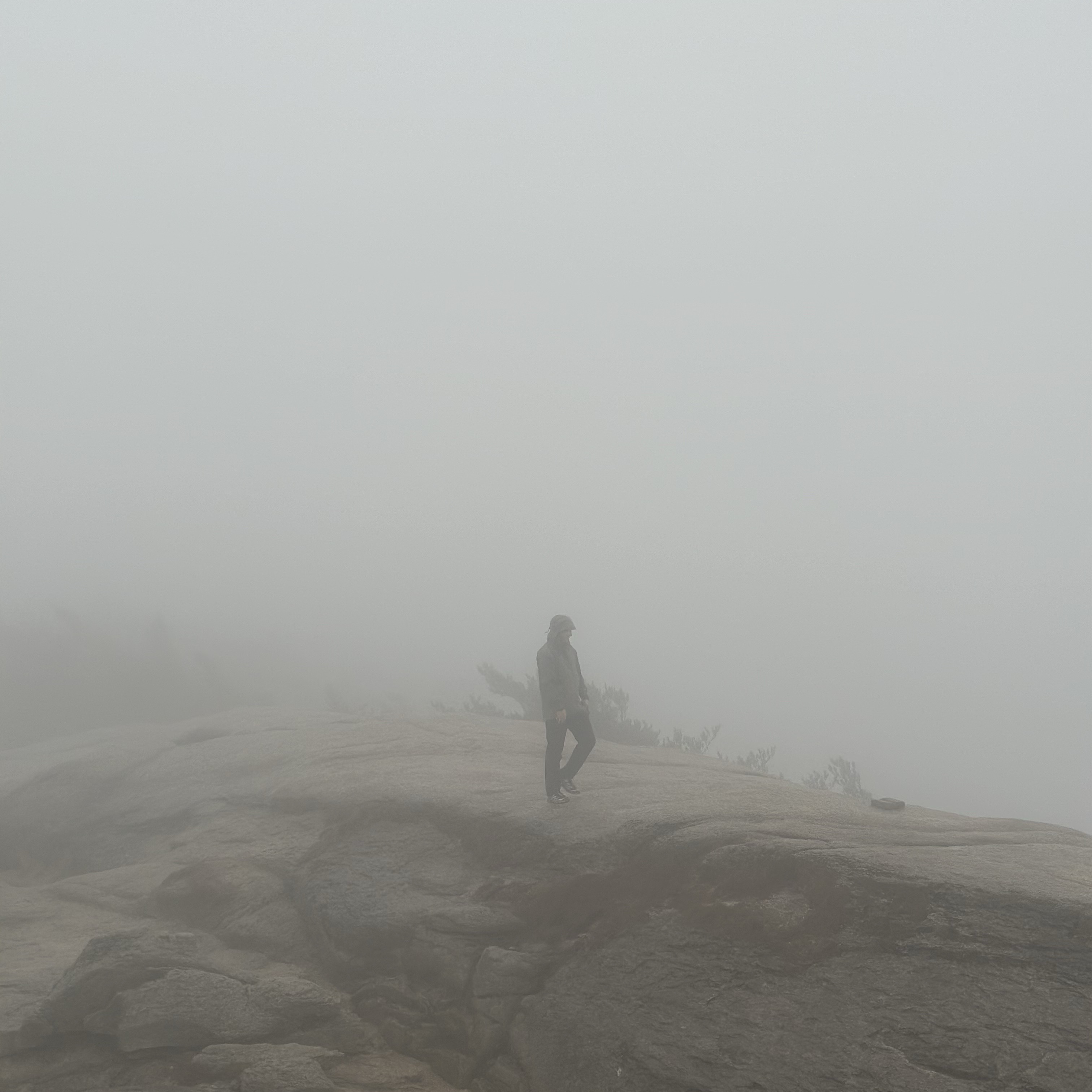 Arc'teryx Beta Jacket Forage 착용 스타일 - 5