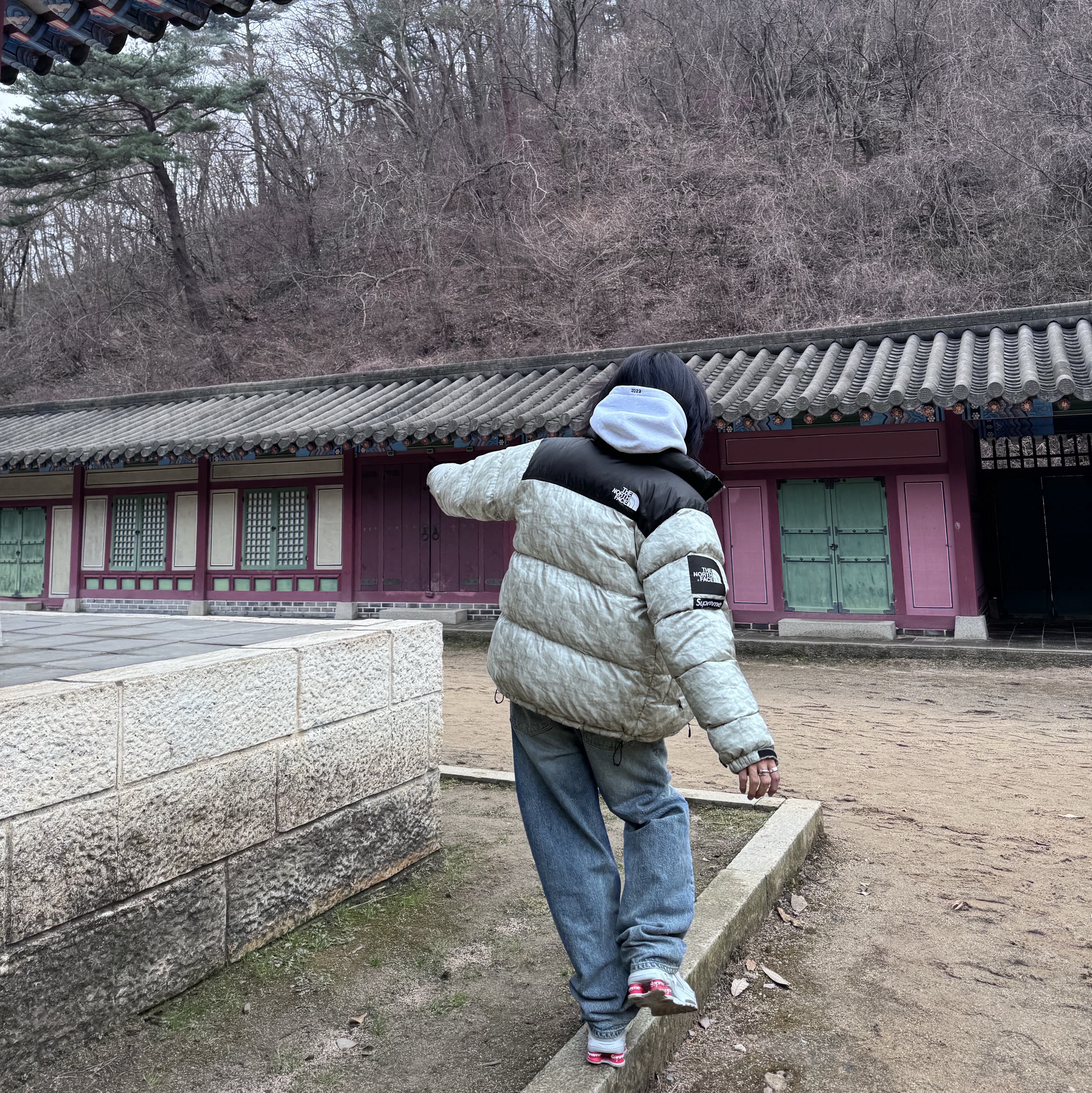 Supreme Box Logo Hooded Sweatshirt Ash Grey - 23FW, Supreme x The North Face Paper Print Nuptse Jacket - 19FW 착용 스타일 - 3