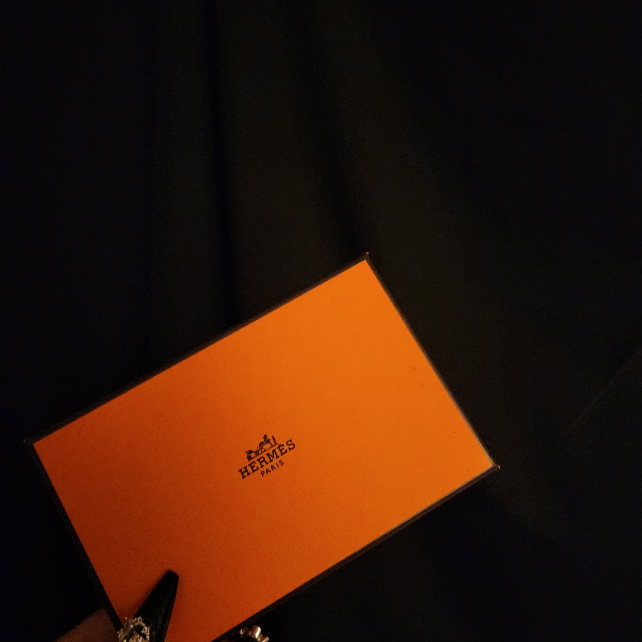 Hermes R.M.S Card Holder Evercolor & Palladium Bleu Nuit 착용 스타일