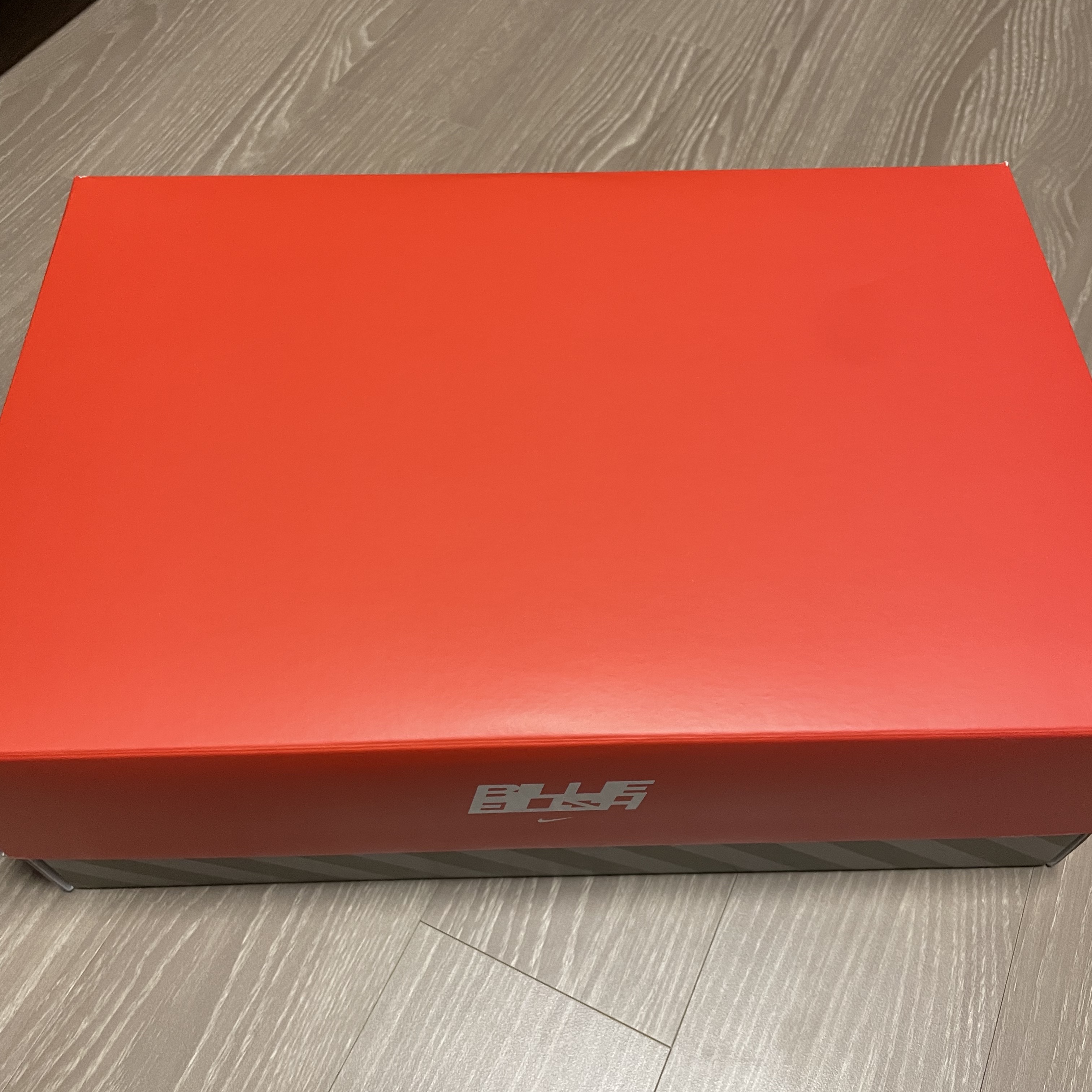 Nike x Billie Eilish Air Alpha Force 88 Fire Red 착용 스타일 - 2