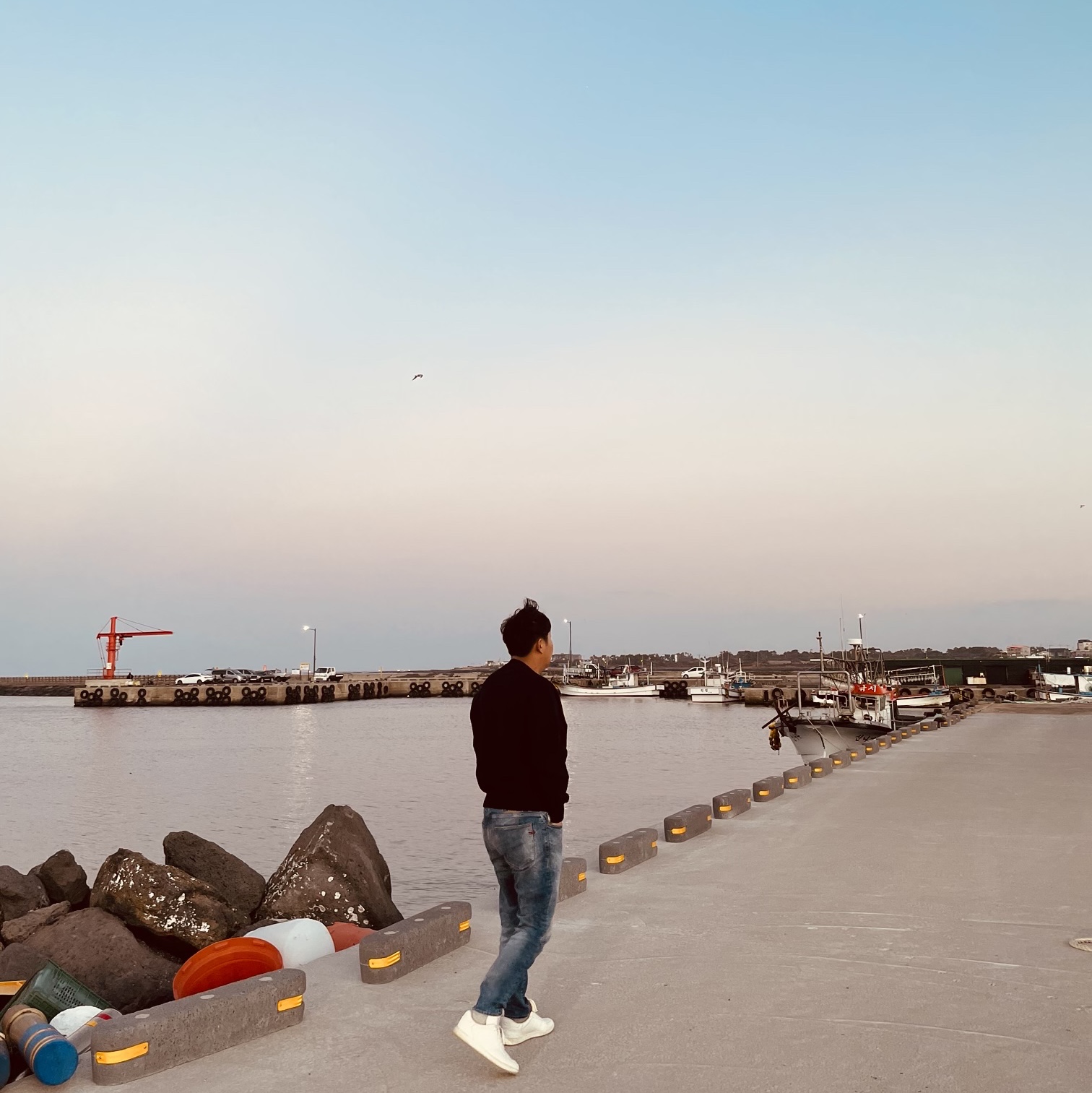 AMI de Coeur Sweatshirt Black, Louis Vuitton LV Trainer Sneakers White 착용 스타일