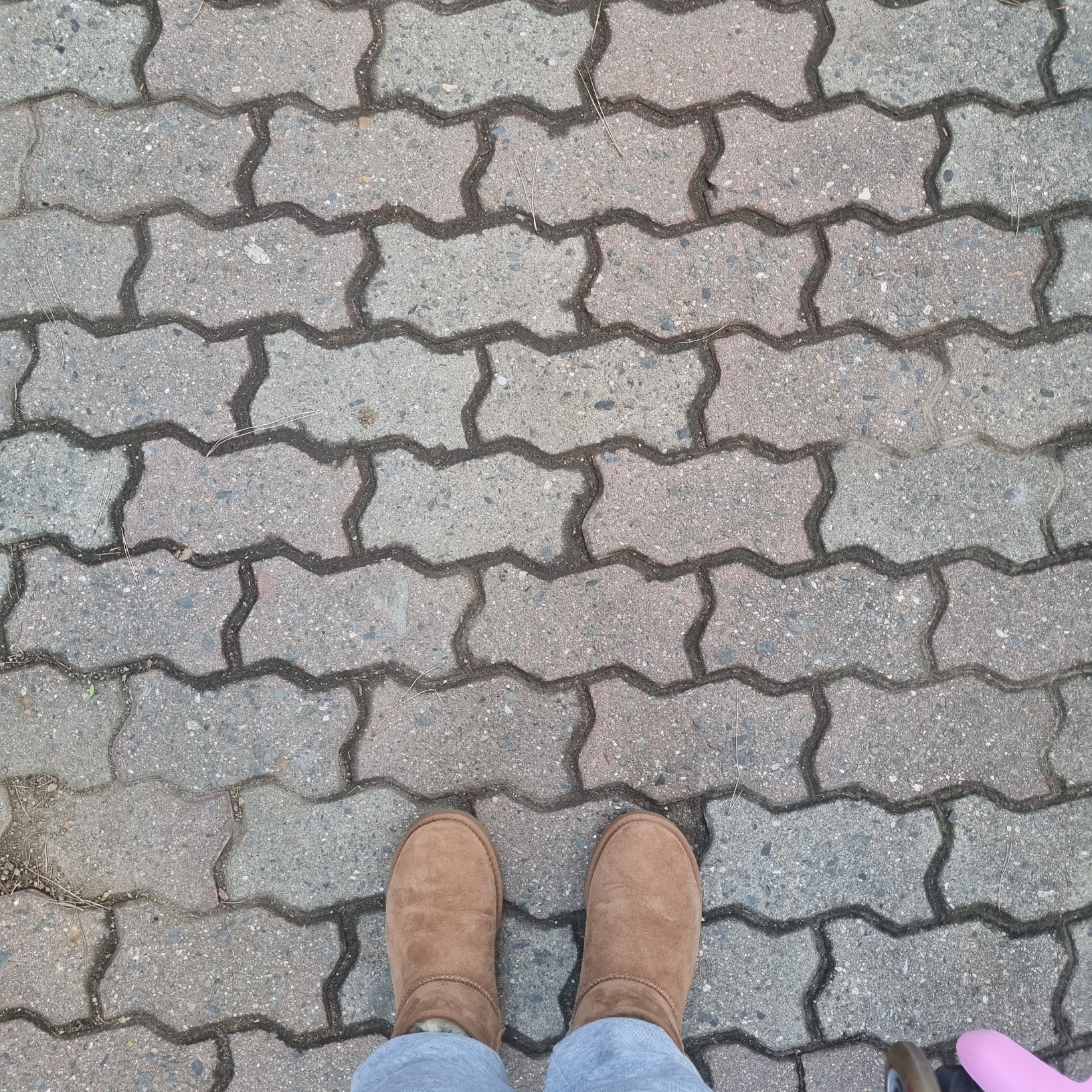 (W) UGG Classic Mini II Boots Chestnut 착용 스타일