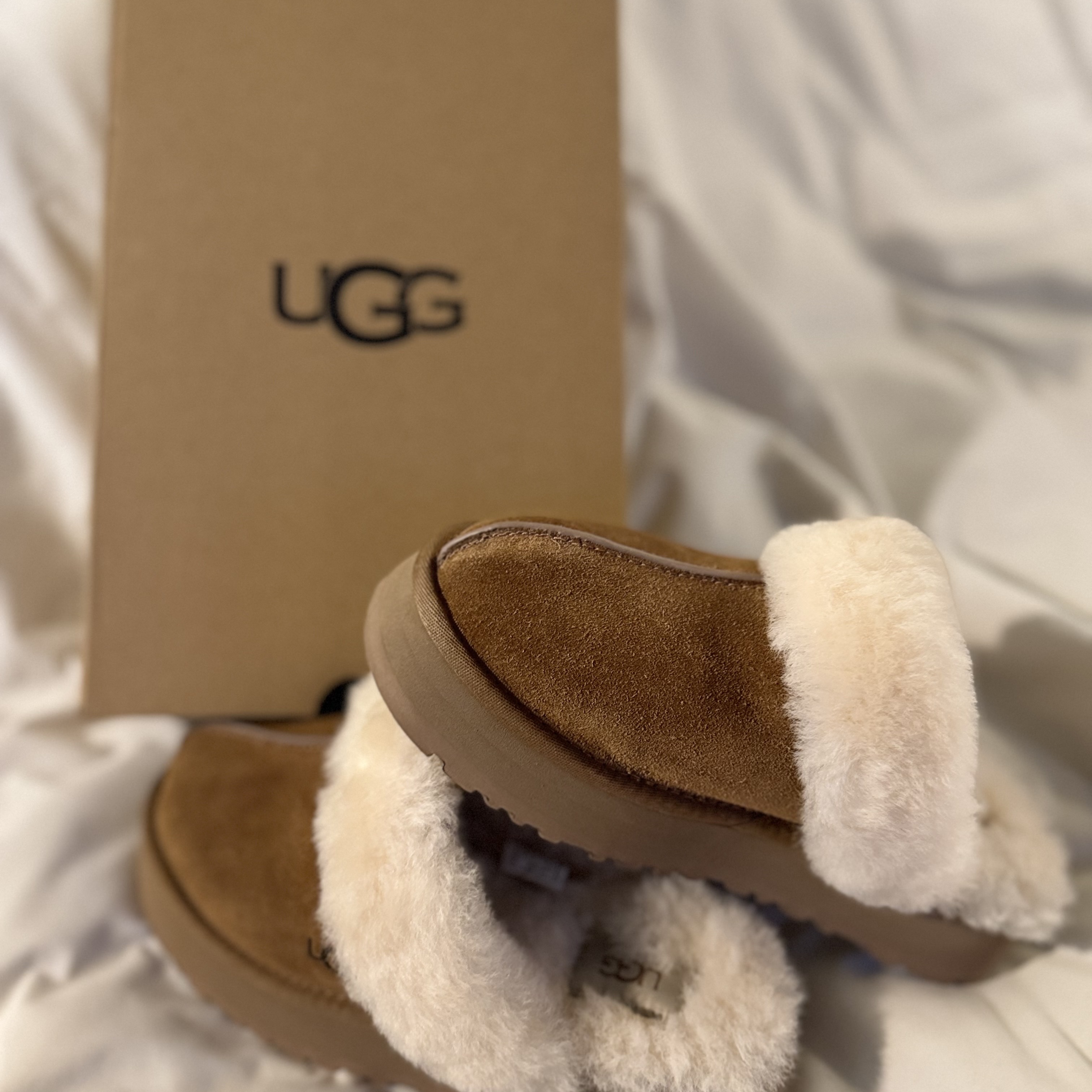 (W) UGG Disquette Slipper Chestnut 착용 스타일
