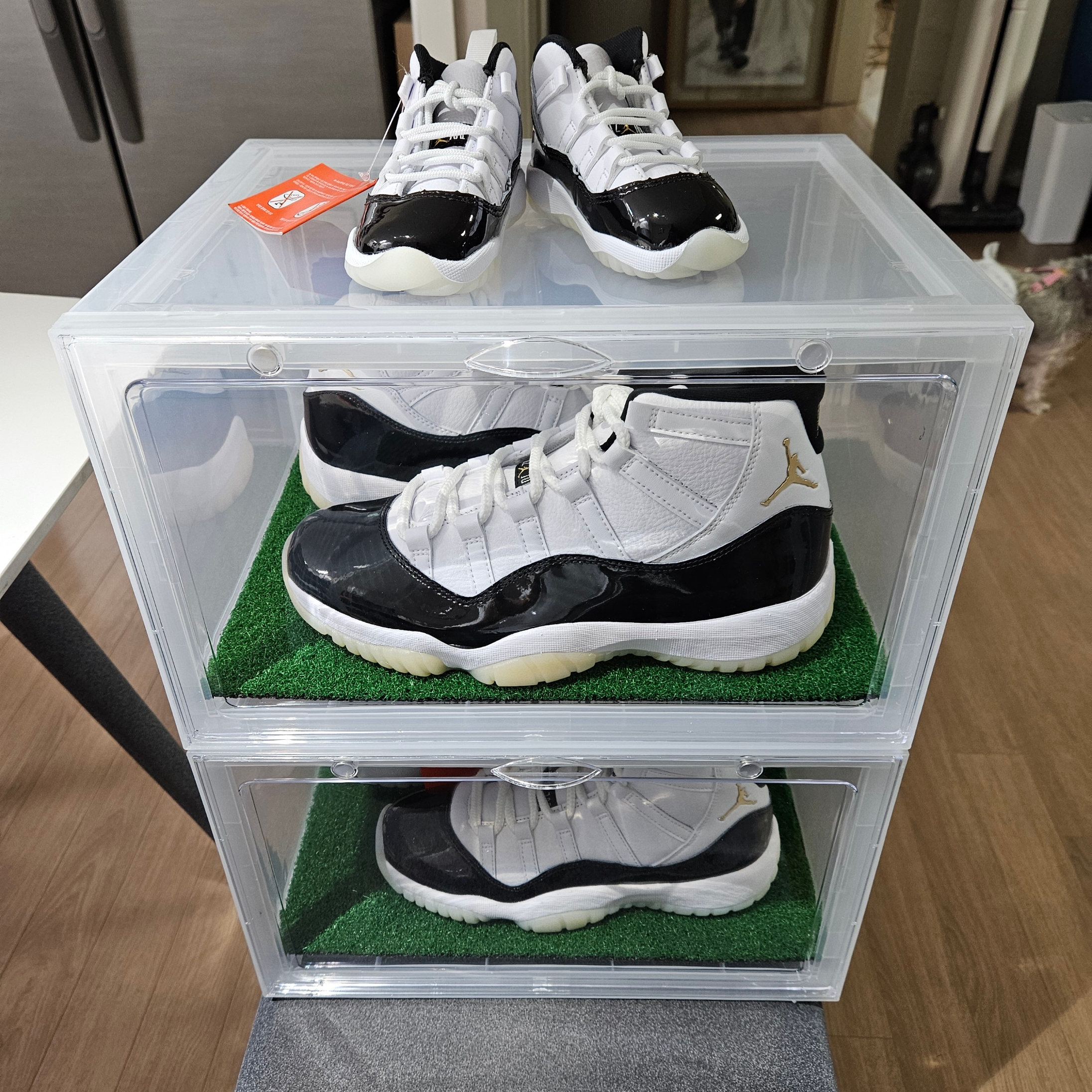 Jordan 11 Retro Gratitude, (GS) Jordan 11 Retro Gratitude 착용 스타일 - 4