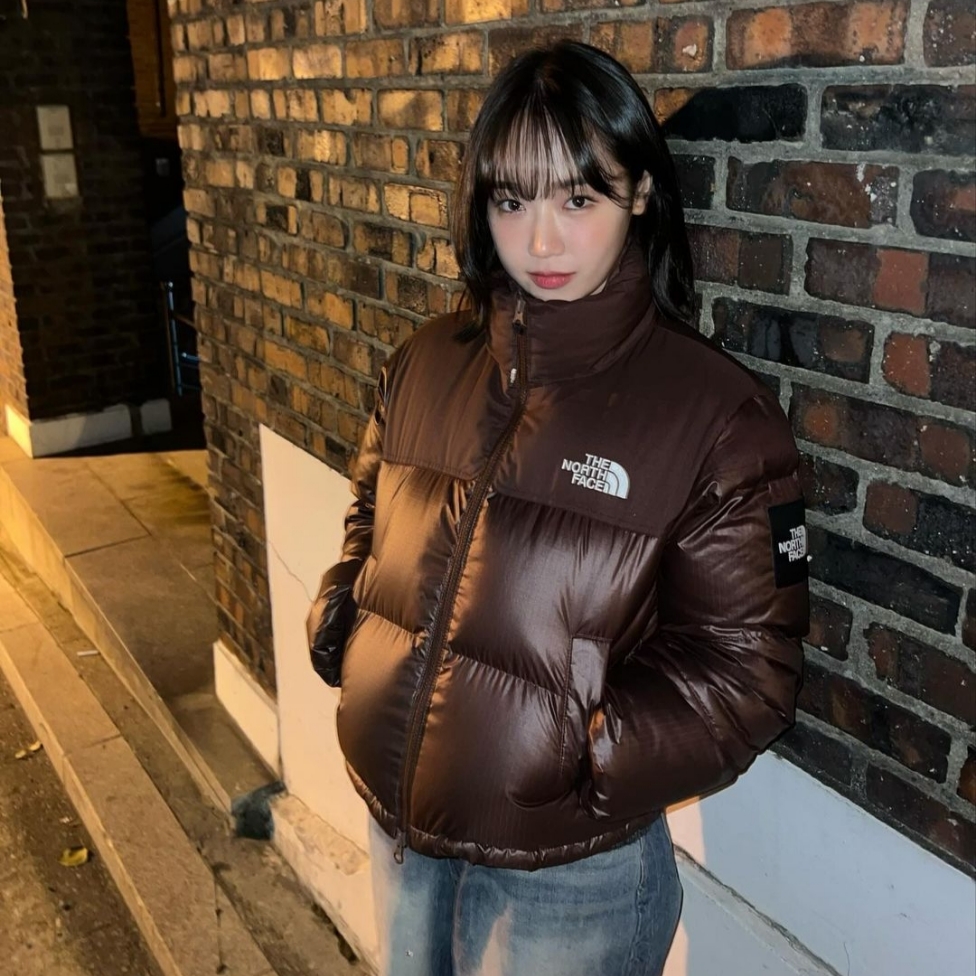 (W) The North Face White Label Novelty Nuptse Down Jacket Cocoa Brown 착용 스타일 - 1