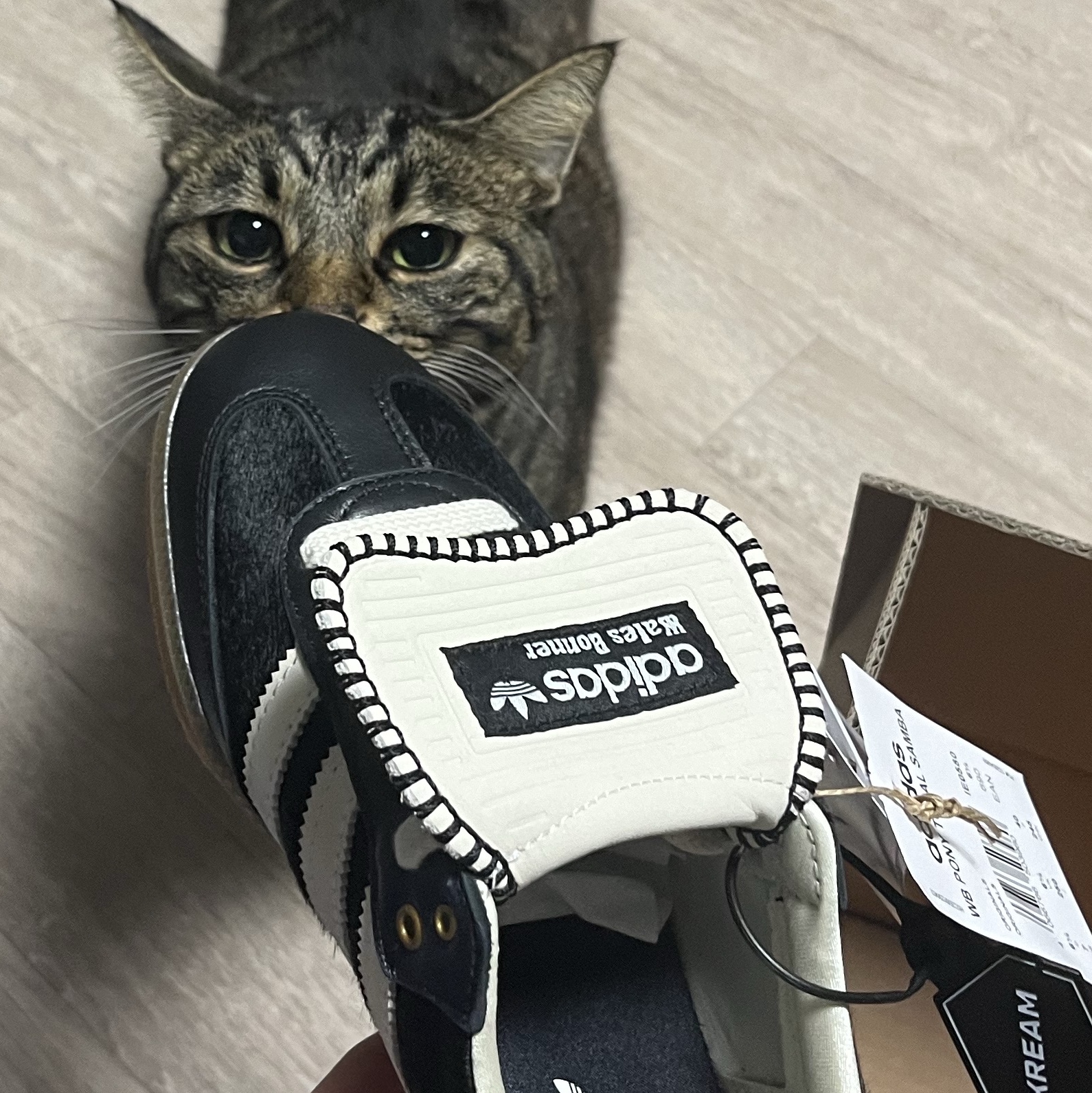 Adidas x Wales Bonner Pony Tonal Samba Core Black Cream White 착용 스타일