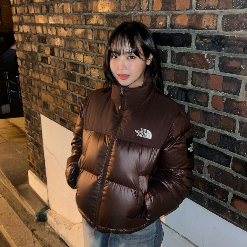 (W) The North Face White Label Novelty Nuptse Down Jacket Cocoa Brown 착용 스타일 - 2