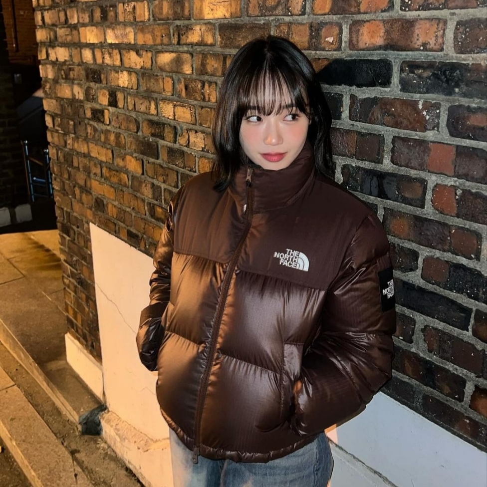(W) The North Face White Label Novelty Nuptse Down Jacket Cocoa Brown 착용 스타일 - 3