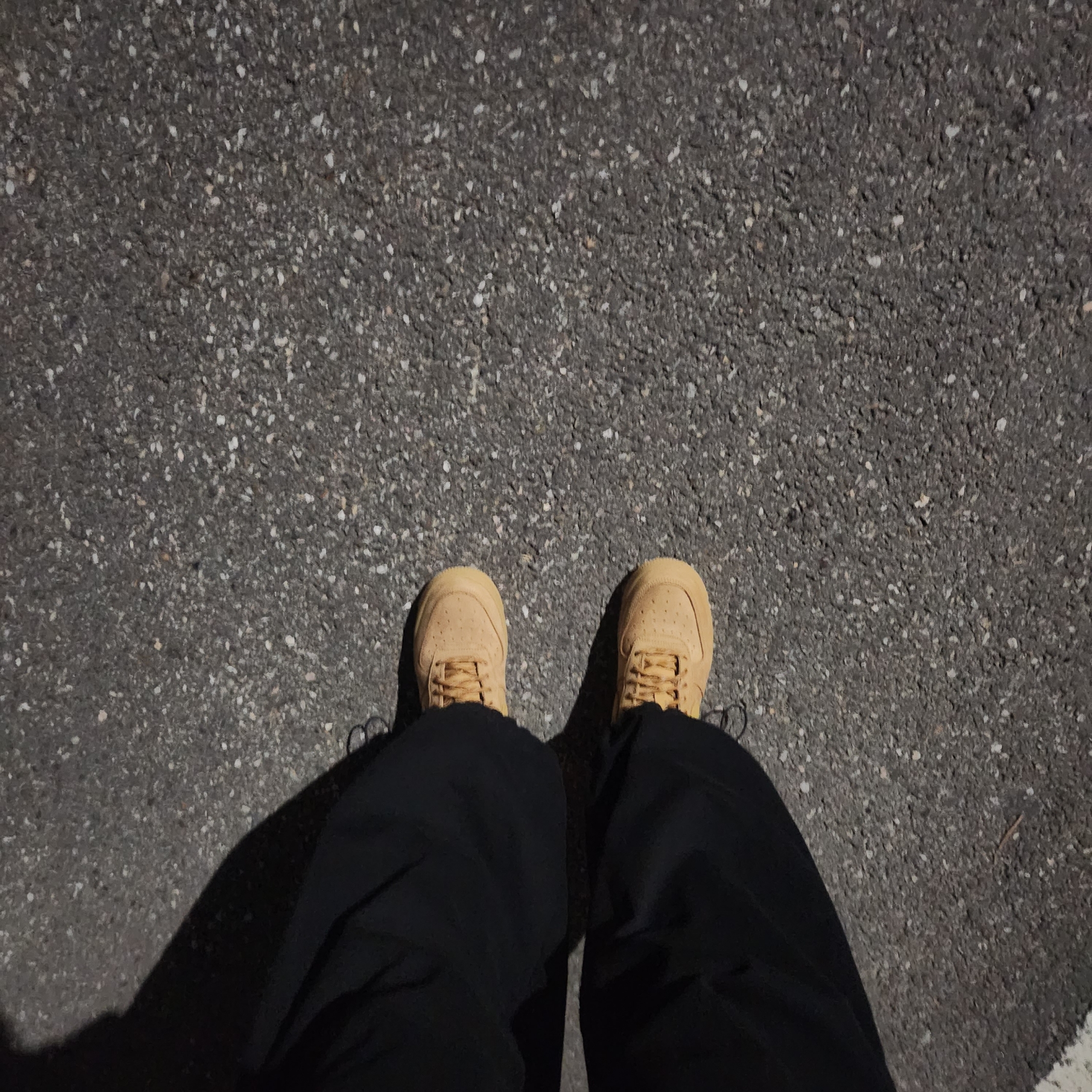 Nike Air Force 1 '07 WB Flax 착용 스타일