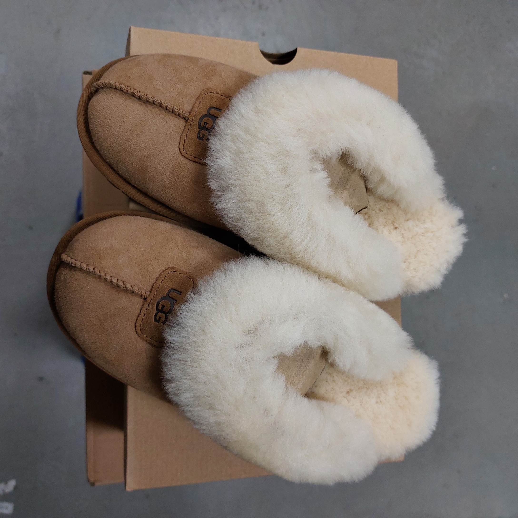 (W) UGG Coquette Slipper Chestnut 착용 스타일