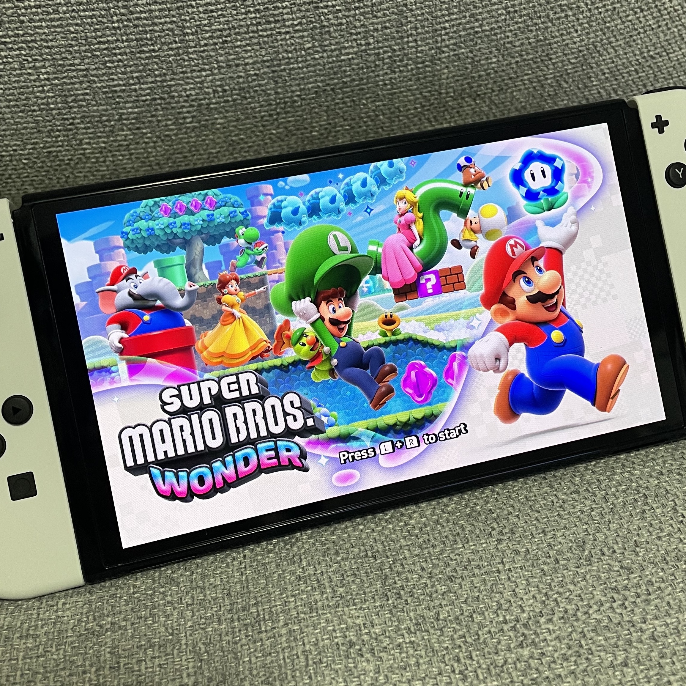 Nintendo Switch OLED White (Korean Ver.) 착용 스타일