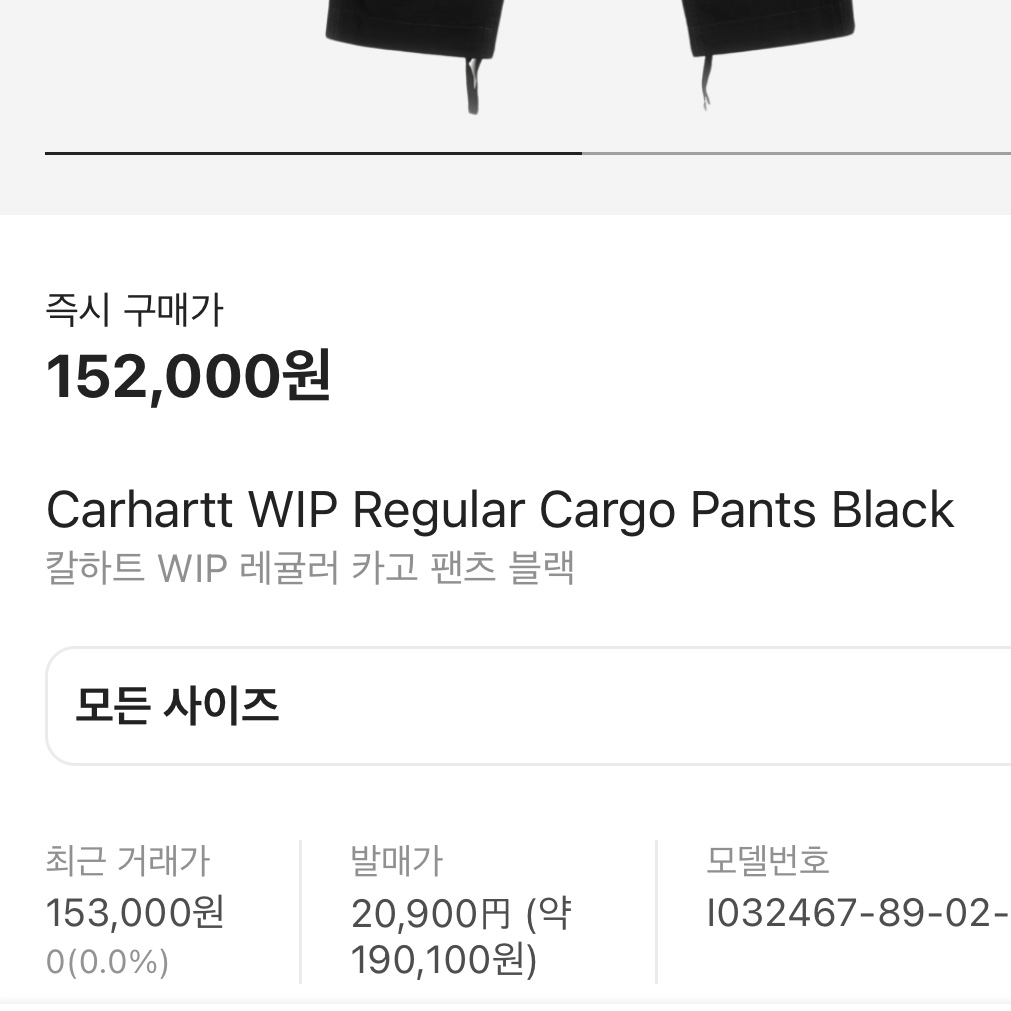 Carhartt WIP Columbia Ripstop Regular Cargo Pants Black 착용 스타일