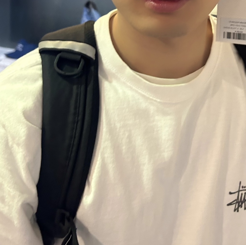 Stussy Basic Stussy LS T-Shirt White 2022 착용 스타일