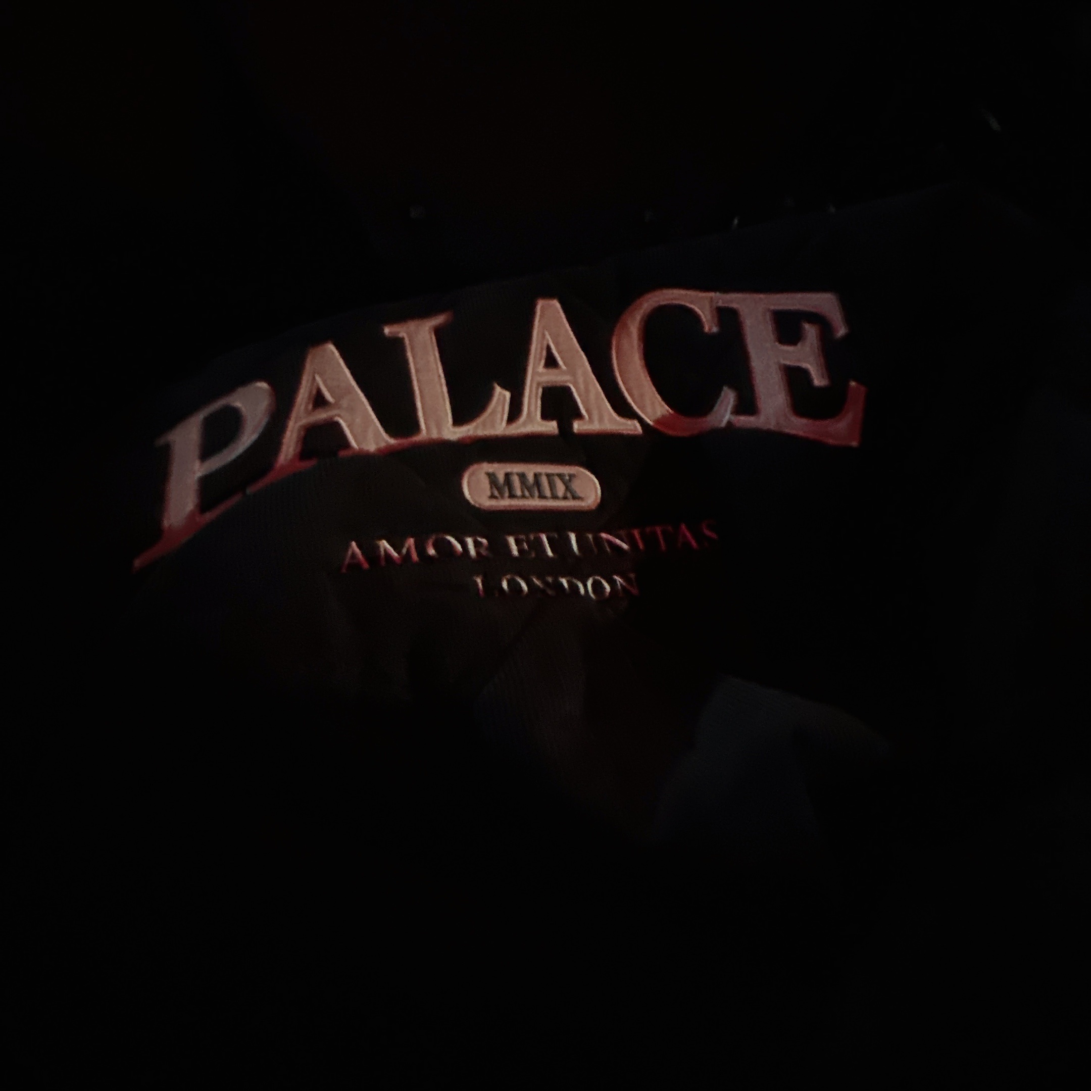 Palace Quilted Jacket Black - 23FW 착용 스타일