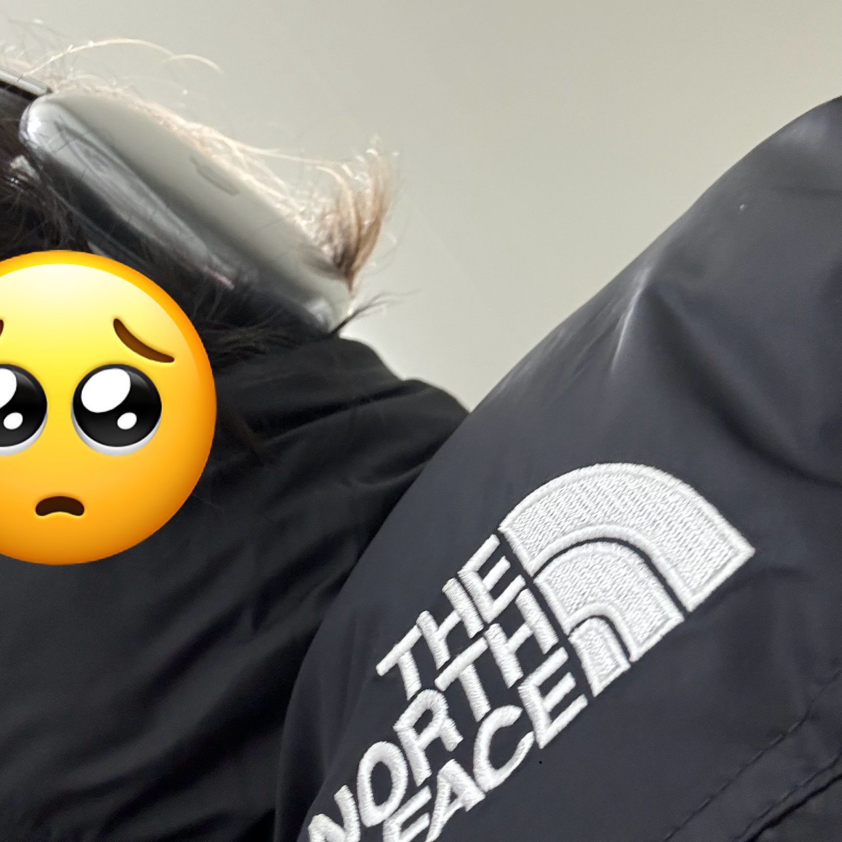 Apple AirPods Max Lightning Space Gray (Korean Ver.), The North Face 1996 Eco Nuptse Jacket Black 착용 스타일