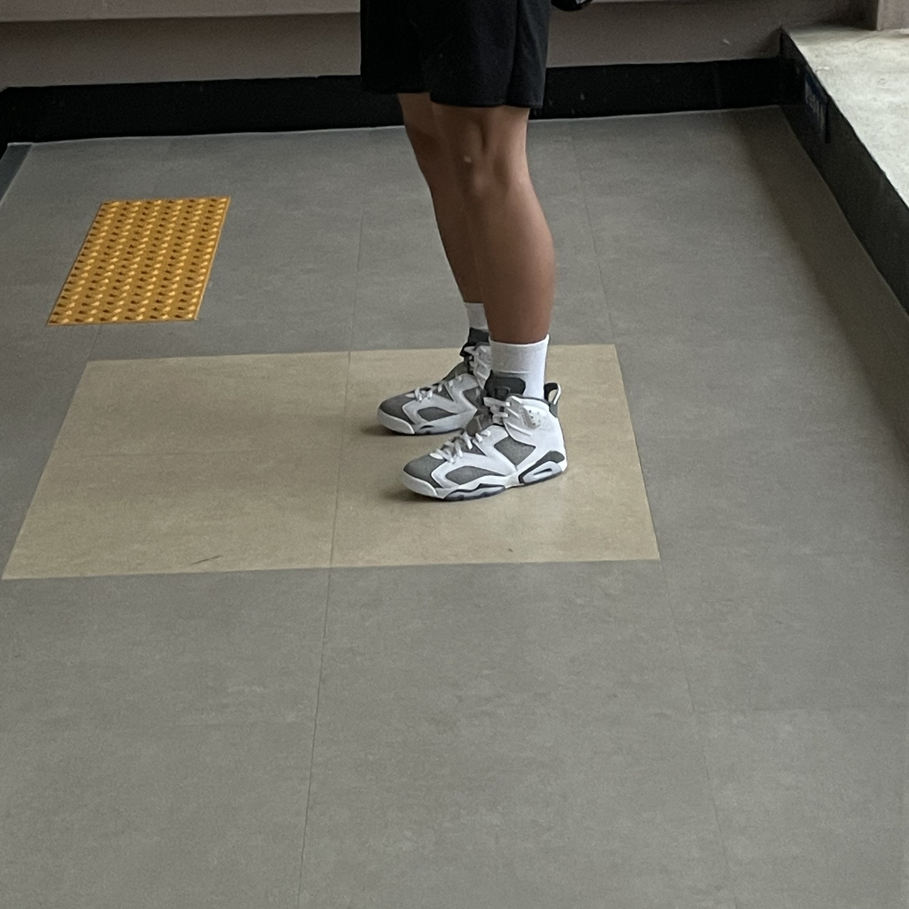 Jordan 6 Retro Cool Grey 착용 스타일 - 2