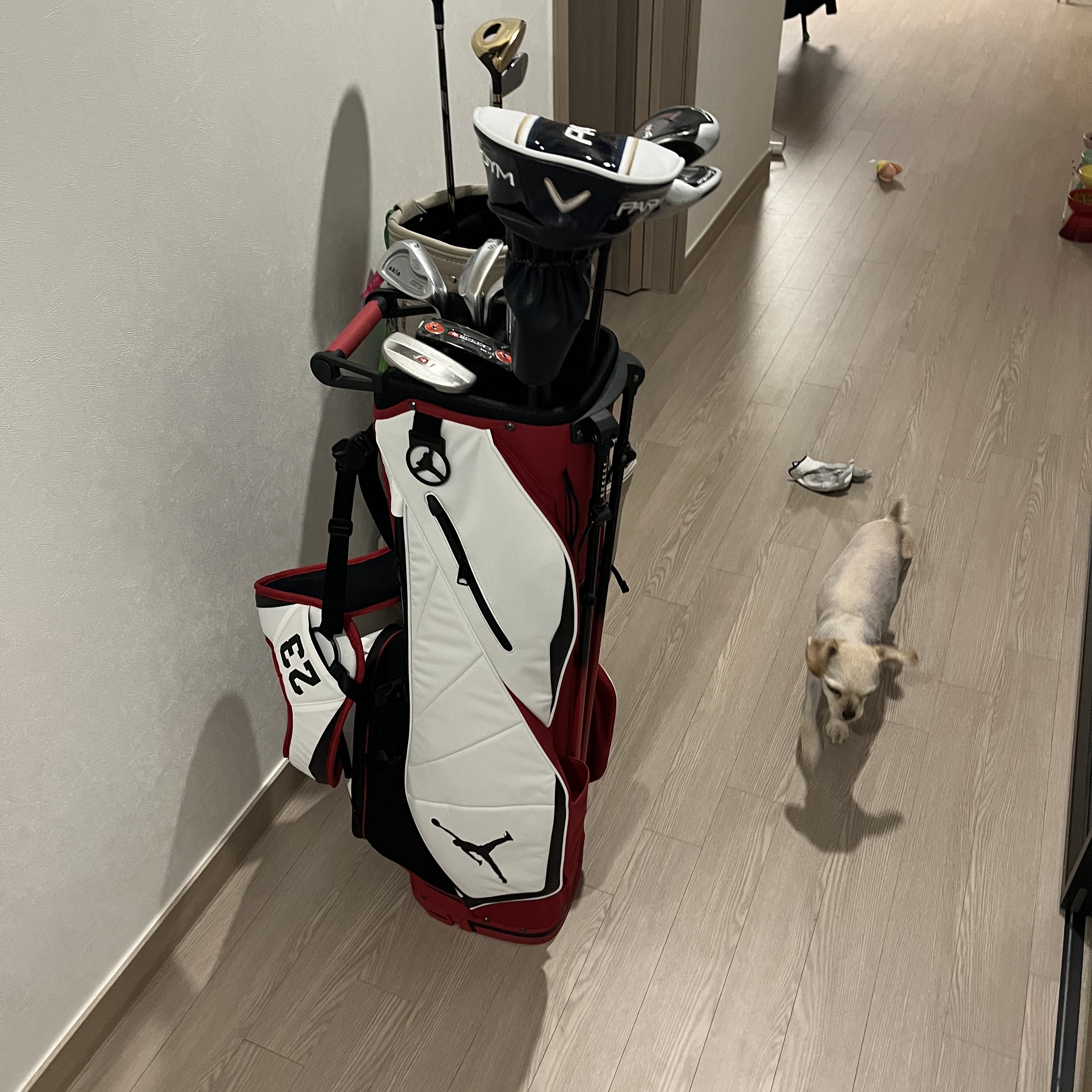 Jordan Fade Away Golf Bag White Varsity Red 착용 스타일 - 2