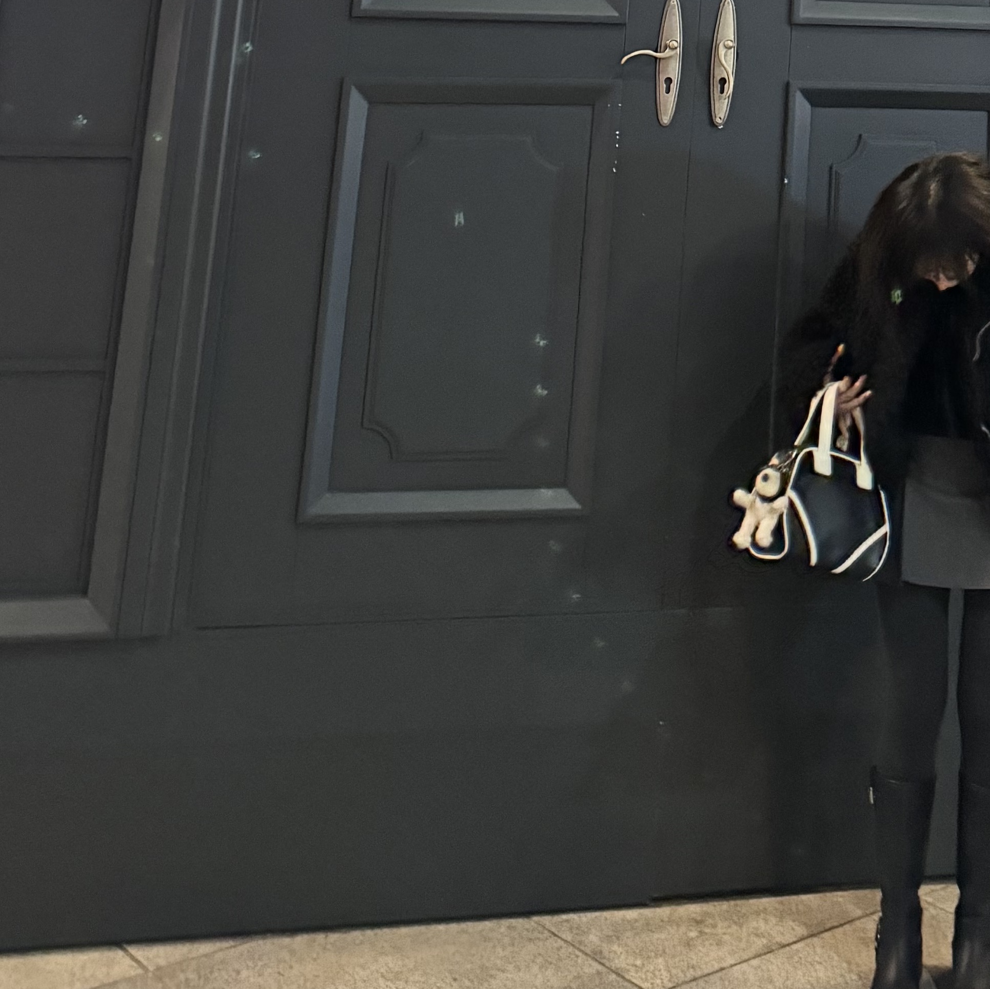 Emis Vintage Tote Bag Black 착용 스타일 - 4