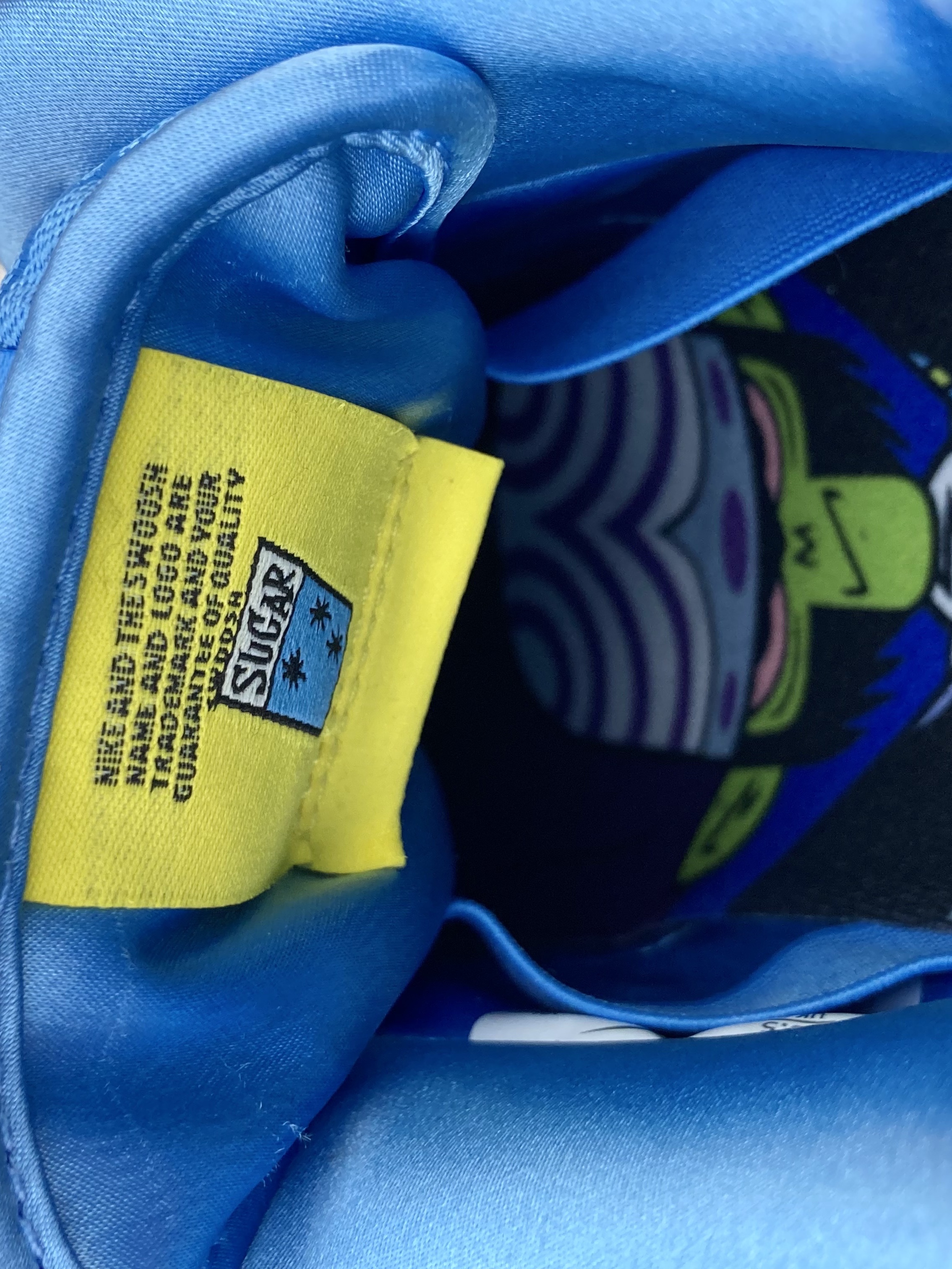 Nike x The Powerpuff Girls SB Dunk Low Pro QS Bubbles 착용 스타일 - 5