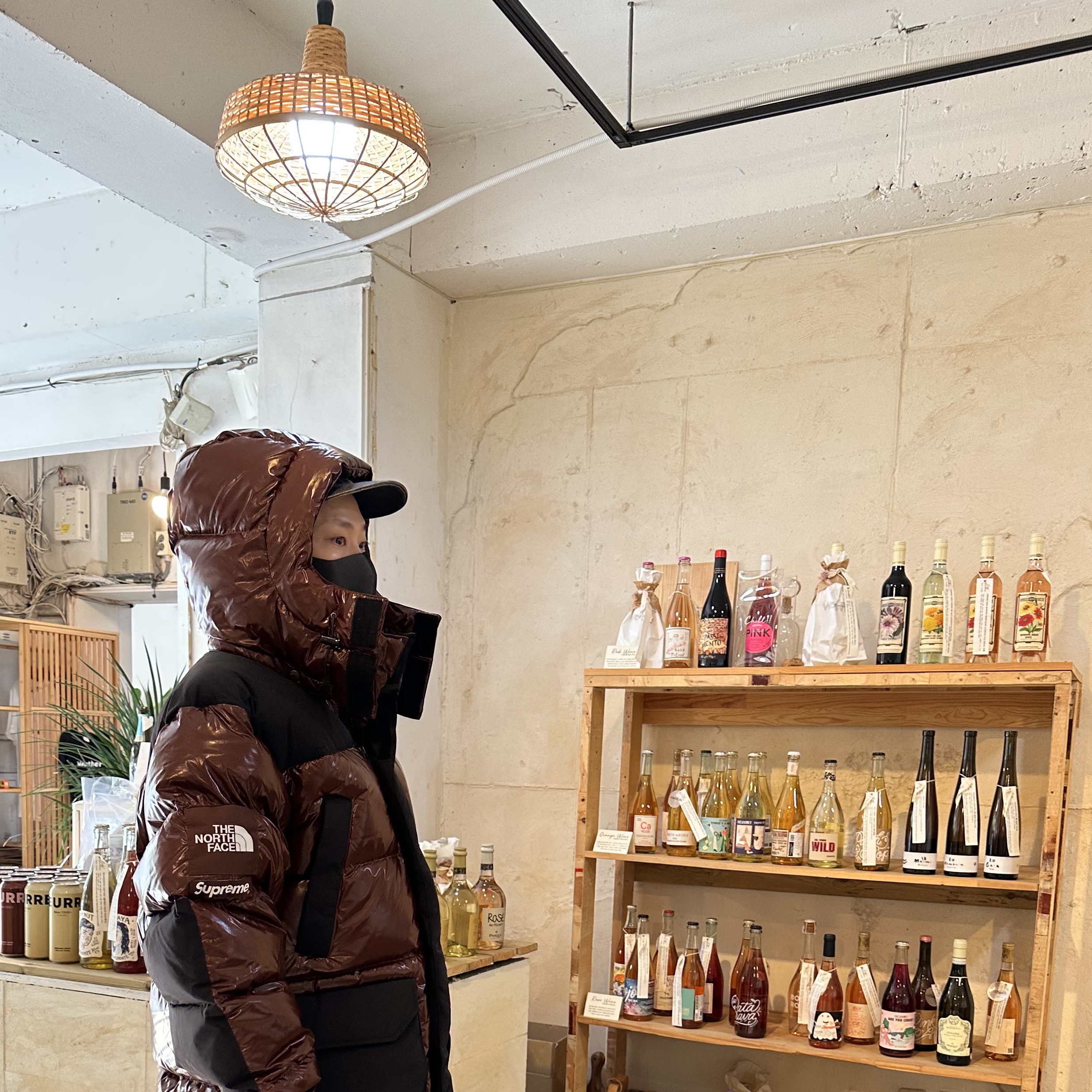 Supreme x The North Face 700-Fill Down Parka Brown - 22FW 착용 스타일