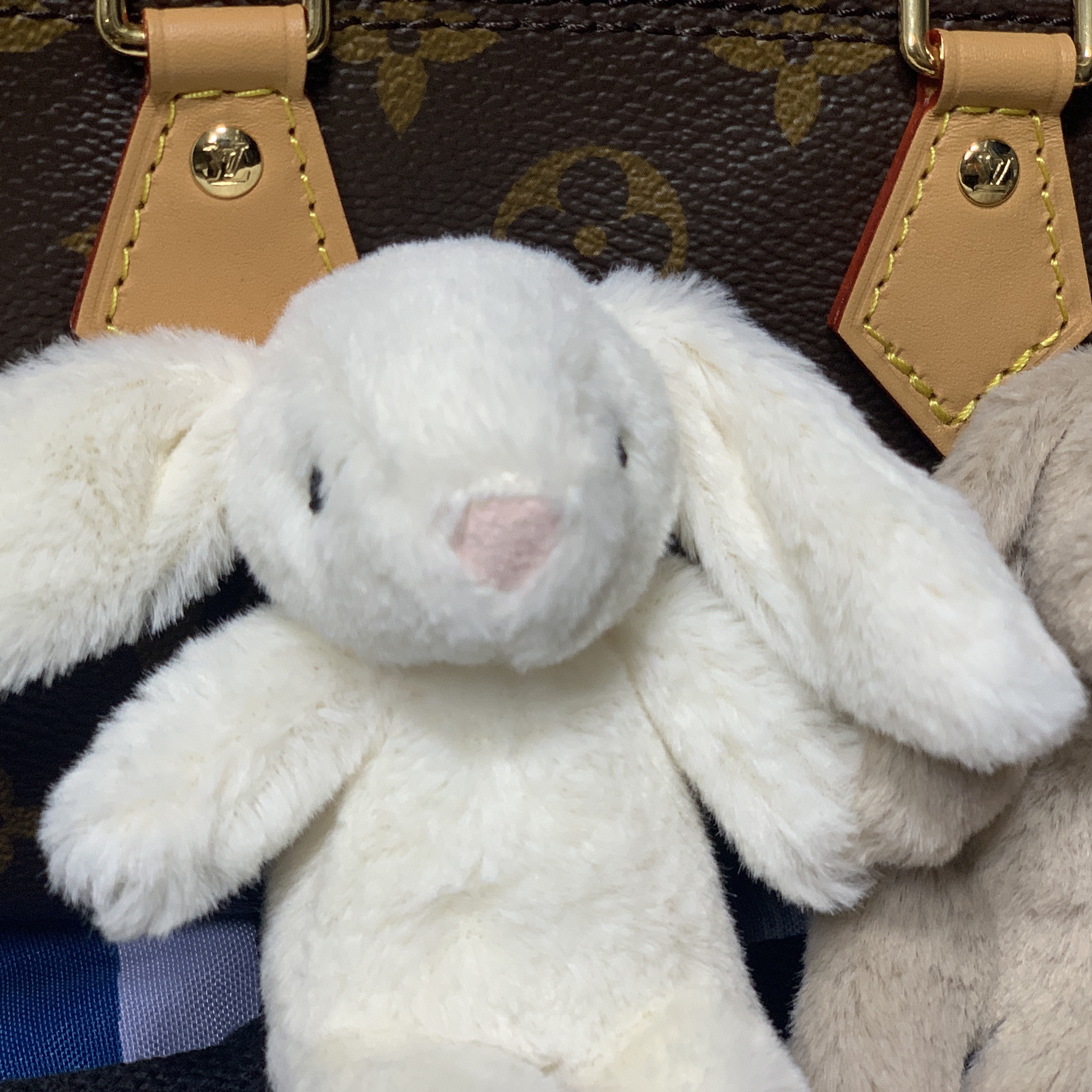 Jellycat Bashful Bunny Bag Charm Cream, Jellycat Bashful Bunny Bag Charm Beige 착용 스타일 - 2