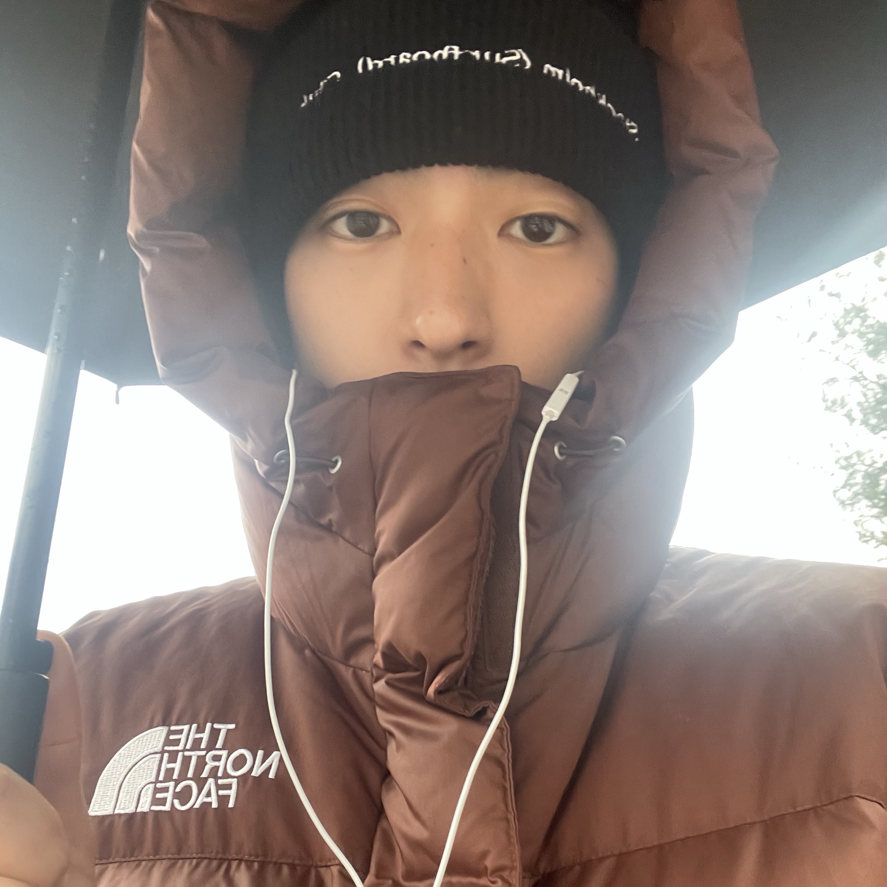 The North Face Himalayan Down Parka Dark Oak 착용 스타일