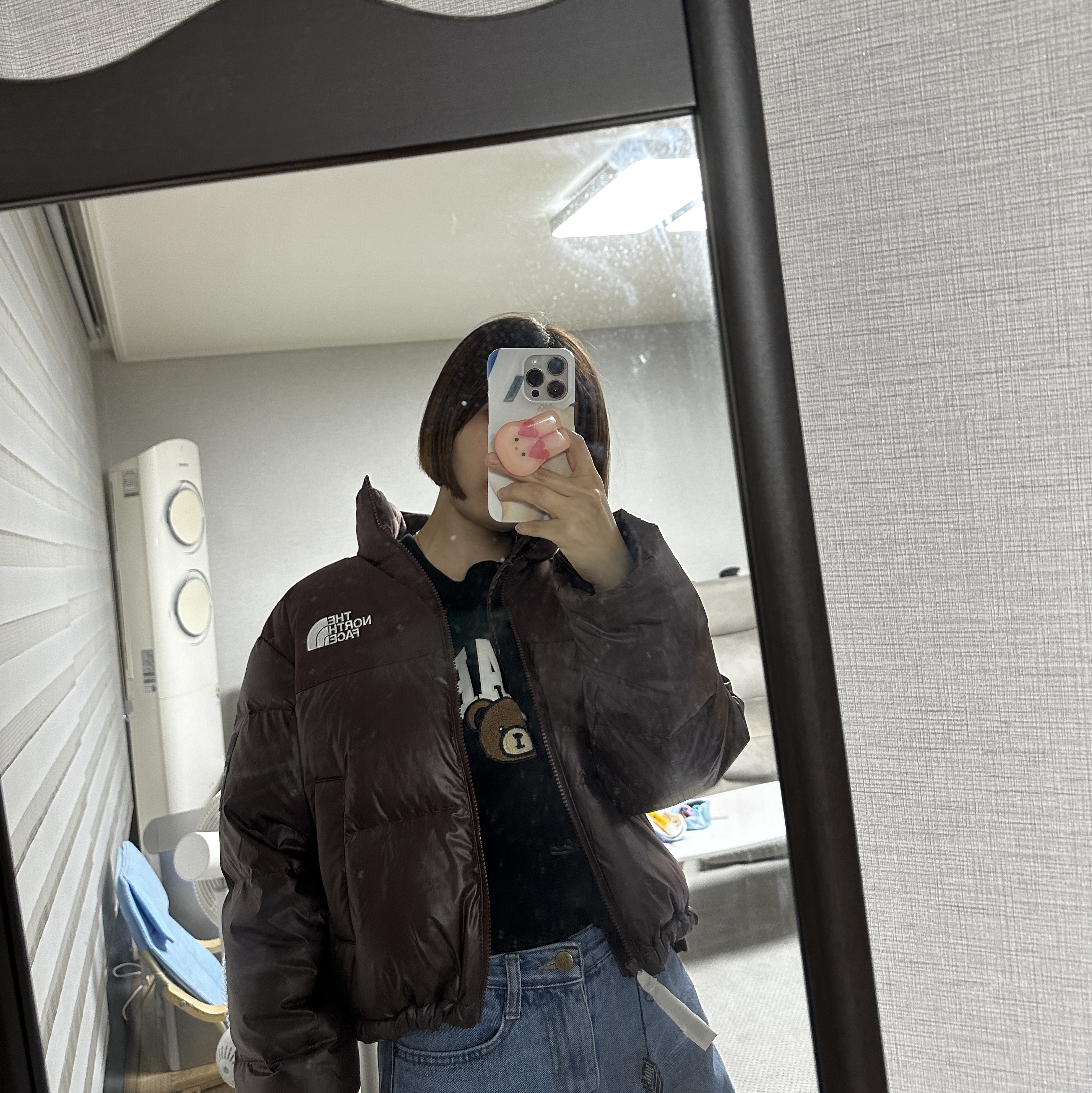 (W) The North Face White Label Novelty Nuptse Down Jacket Cocoa Brown 착용 스타일 - 2