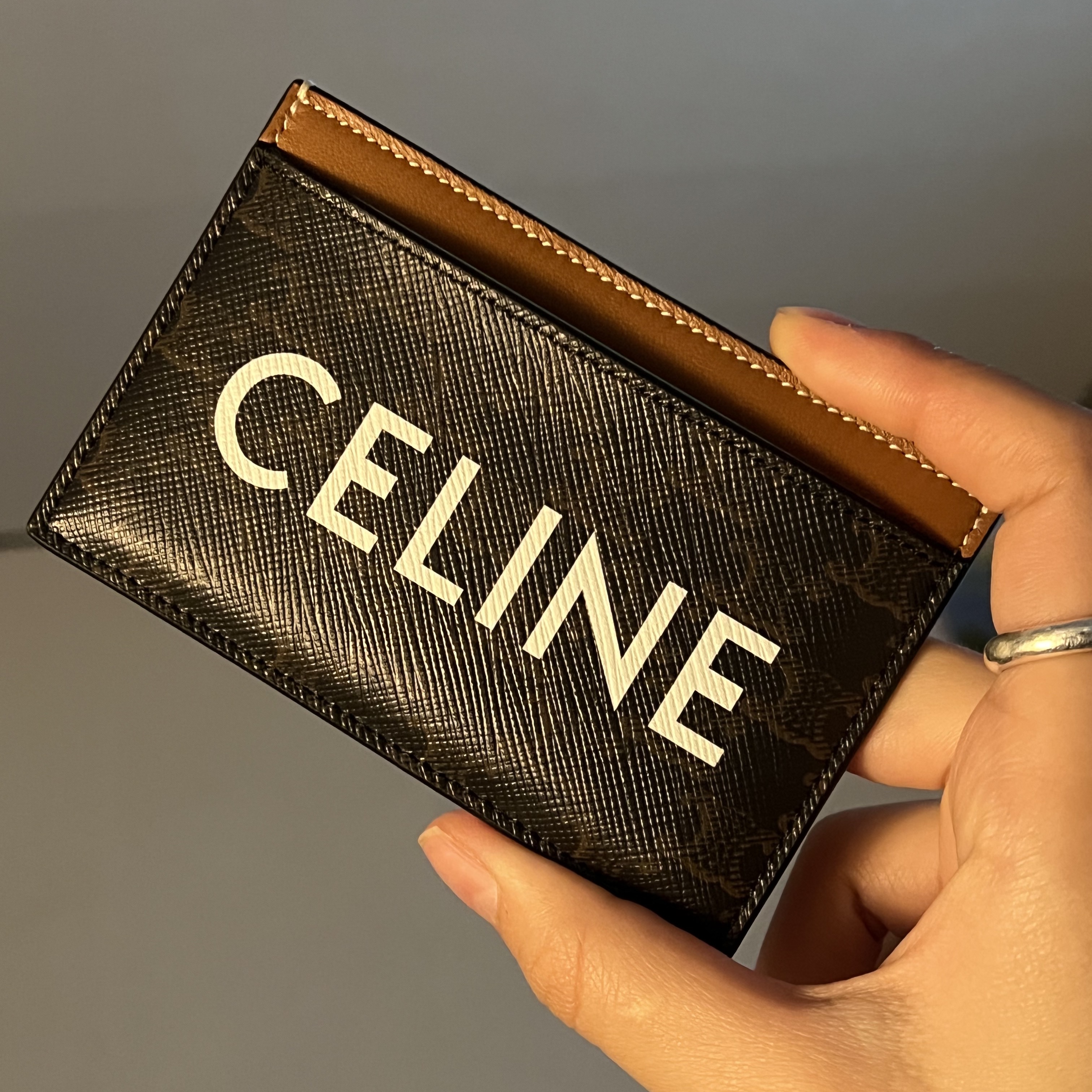 Celine Card Holder in Triomphe Canvas with Celine Print Tan 착용 스타일 - 1