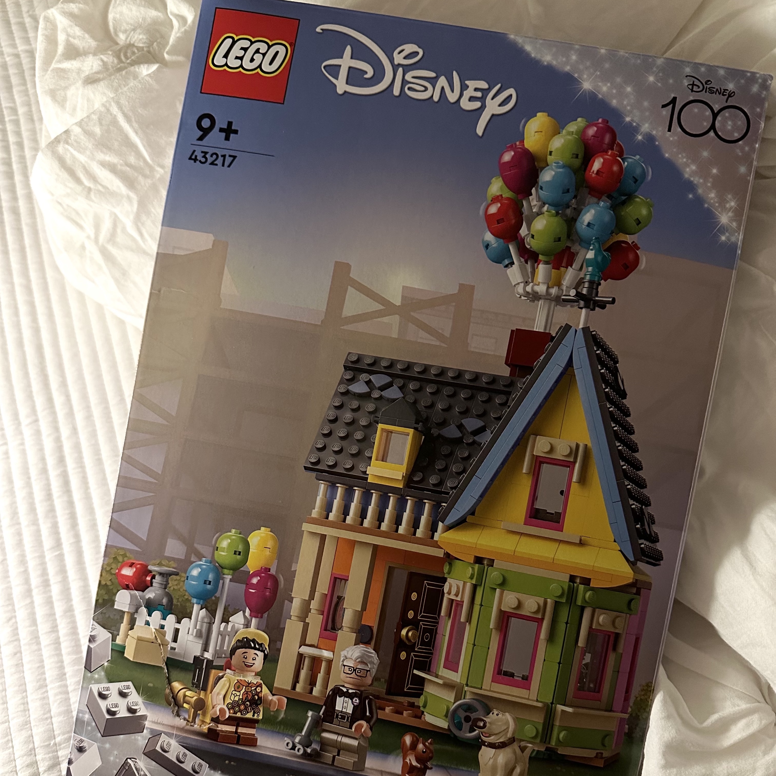 Lego Disney Up House 착용 스타일