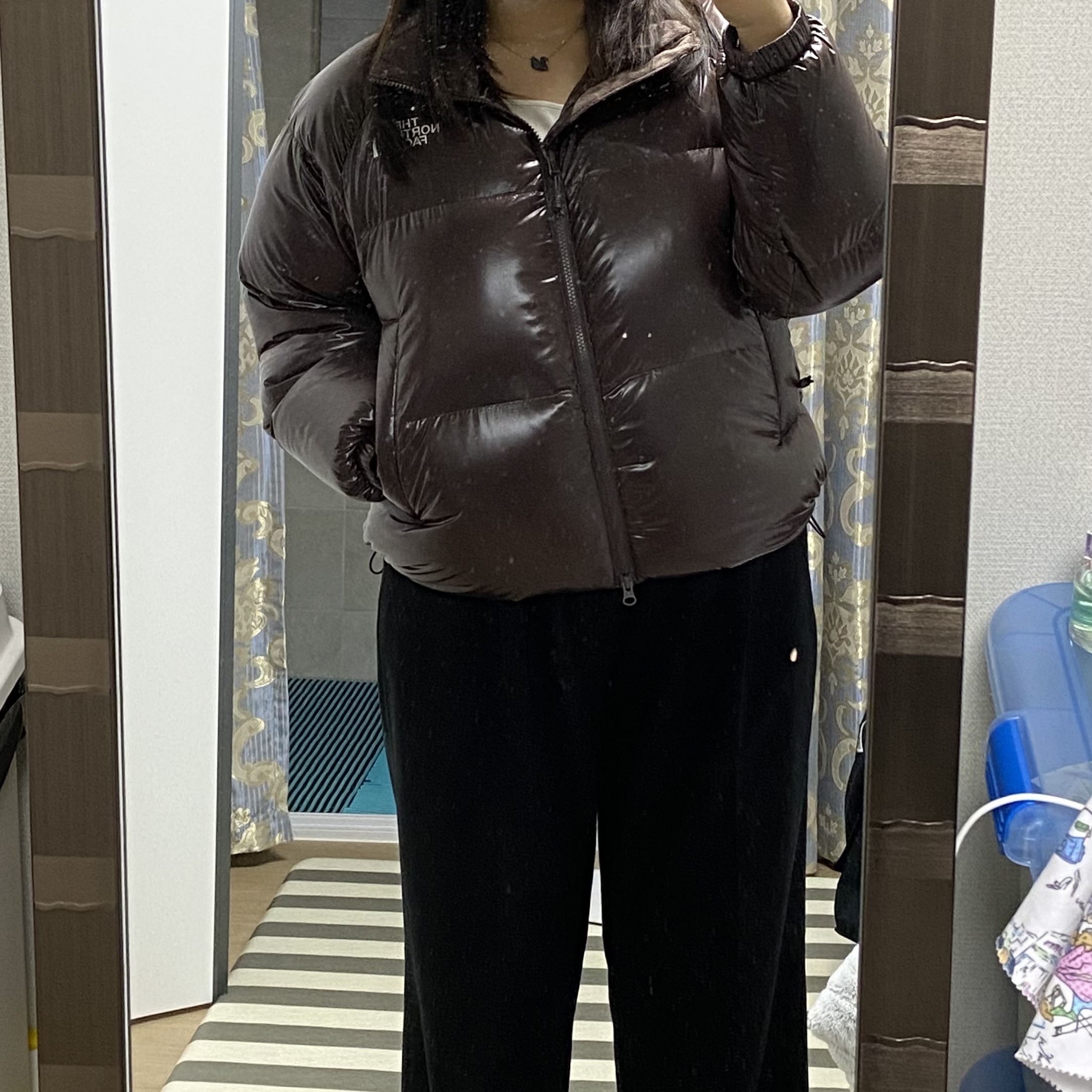 (W) The North Face White Label Neo Puffy Down Jacket Brown 착용 스타일