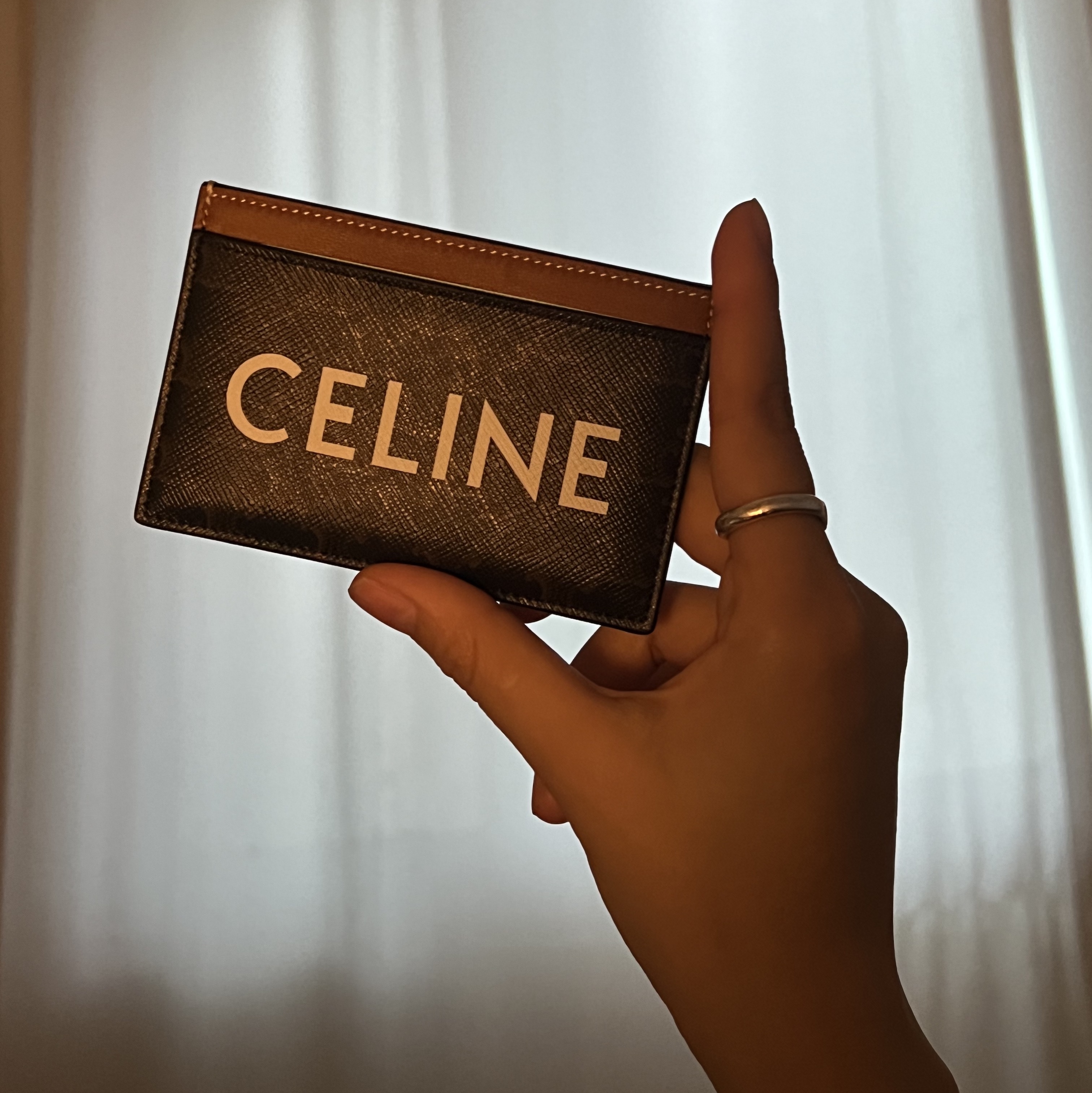 Celine Card Holder in Triomphe Canvas with Celine Print Tan 착용 스타일 - 2