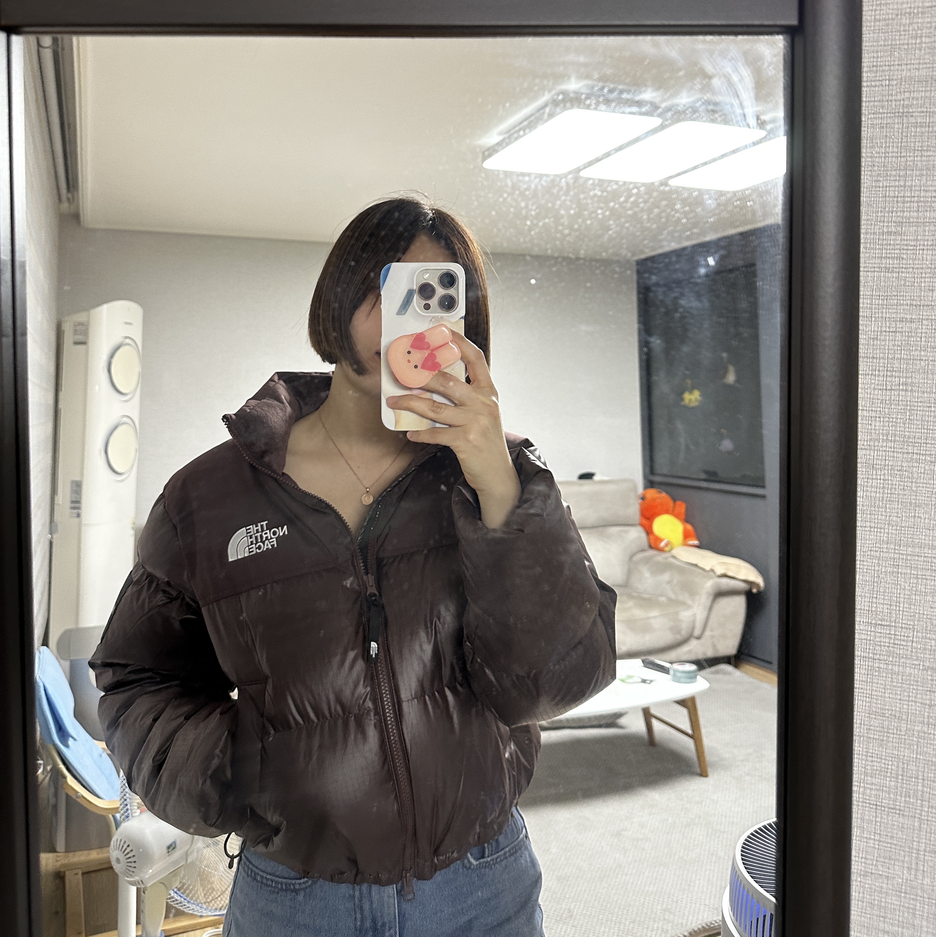 (W) The North Face White Label Novelty Nuptse Down Jacket Cocoa Brown 착용 스타일 - 1