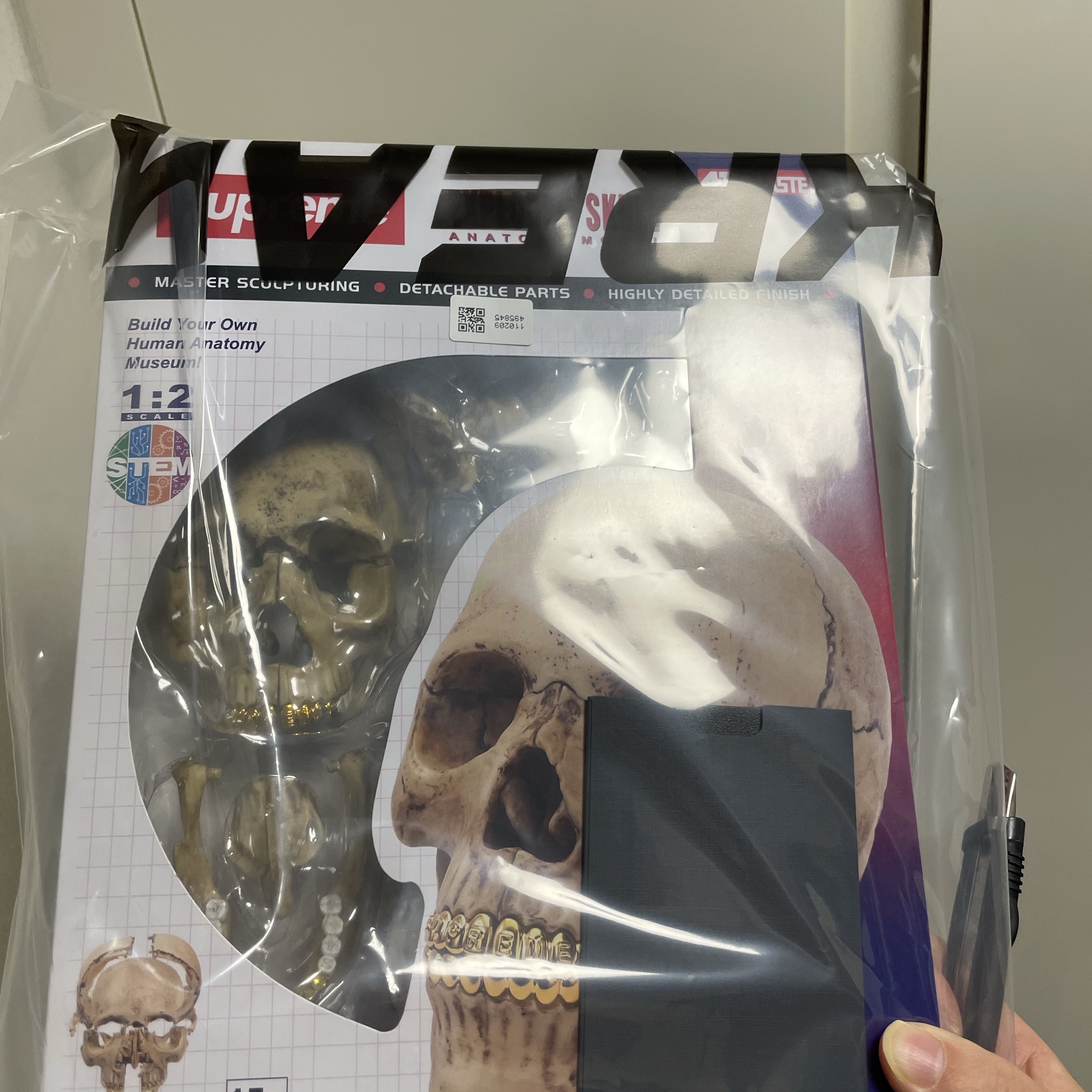 Supreme 4D Model Human Skull Natural - 23FW 착용 스타일 - 1